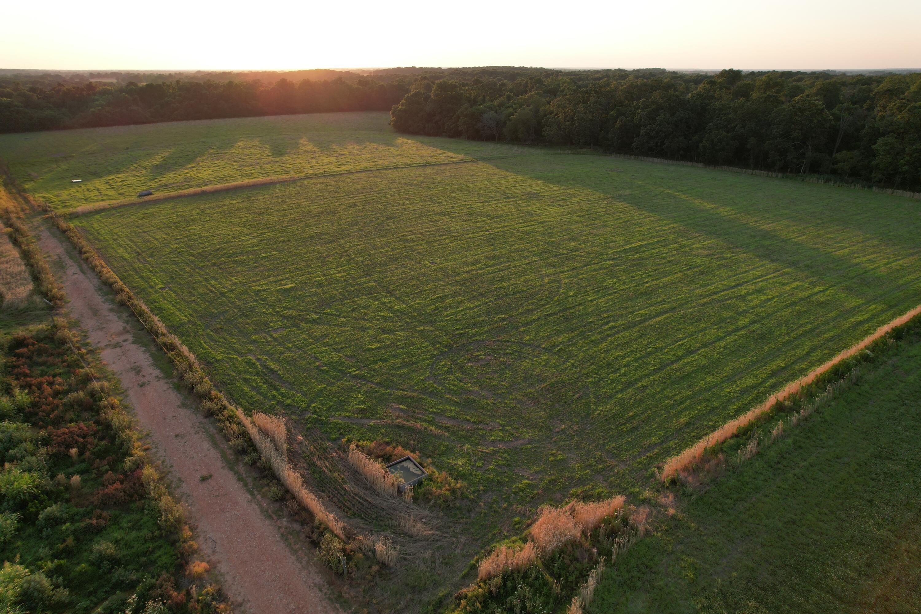 26548 Foliage Road Property Photo 26