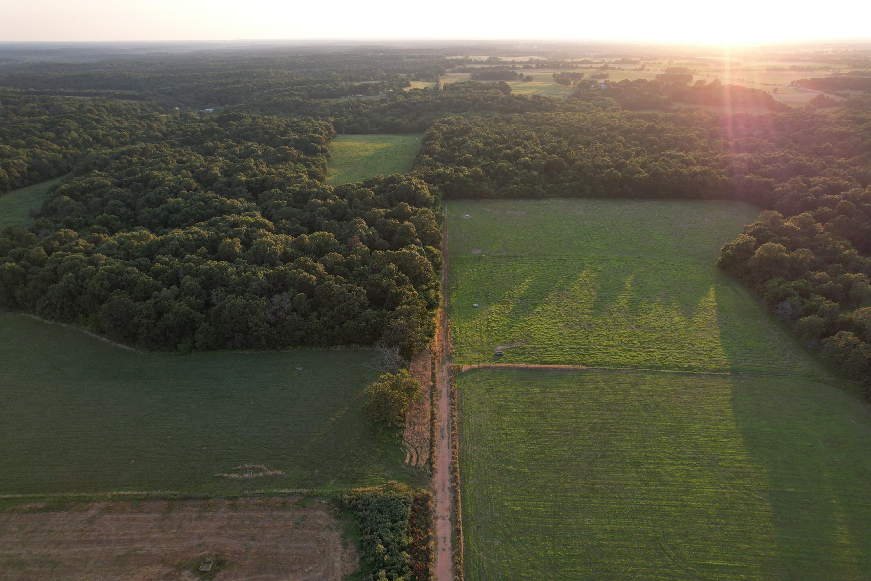 26548 Foliage Road Property Photo 27