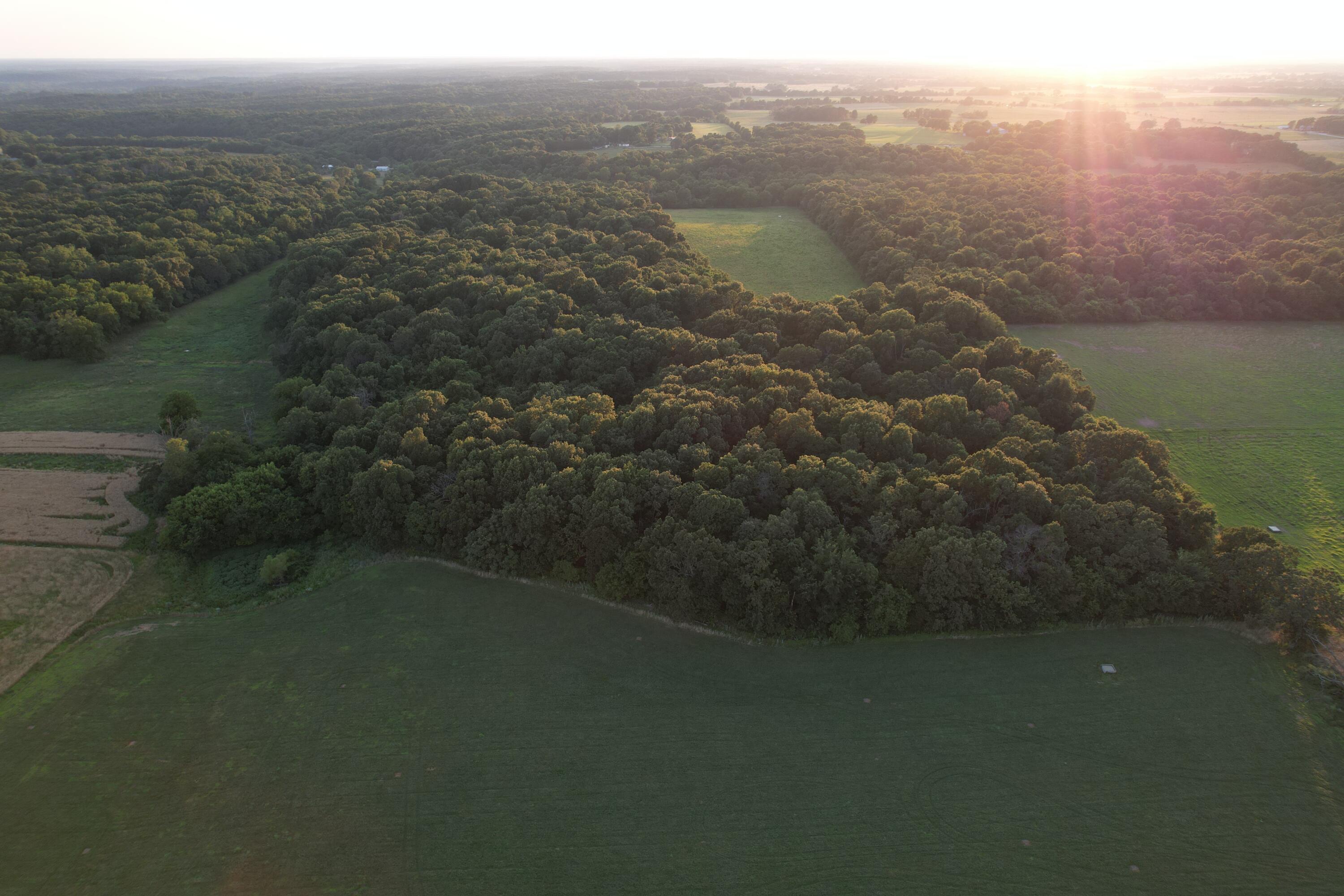26548 Foliage Road Property Photo 28
