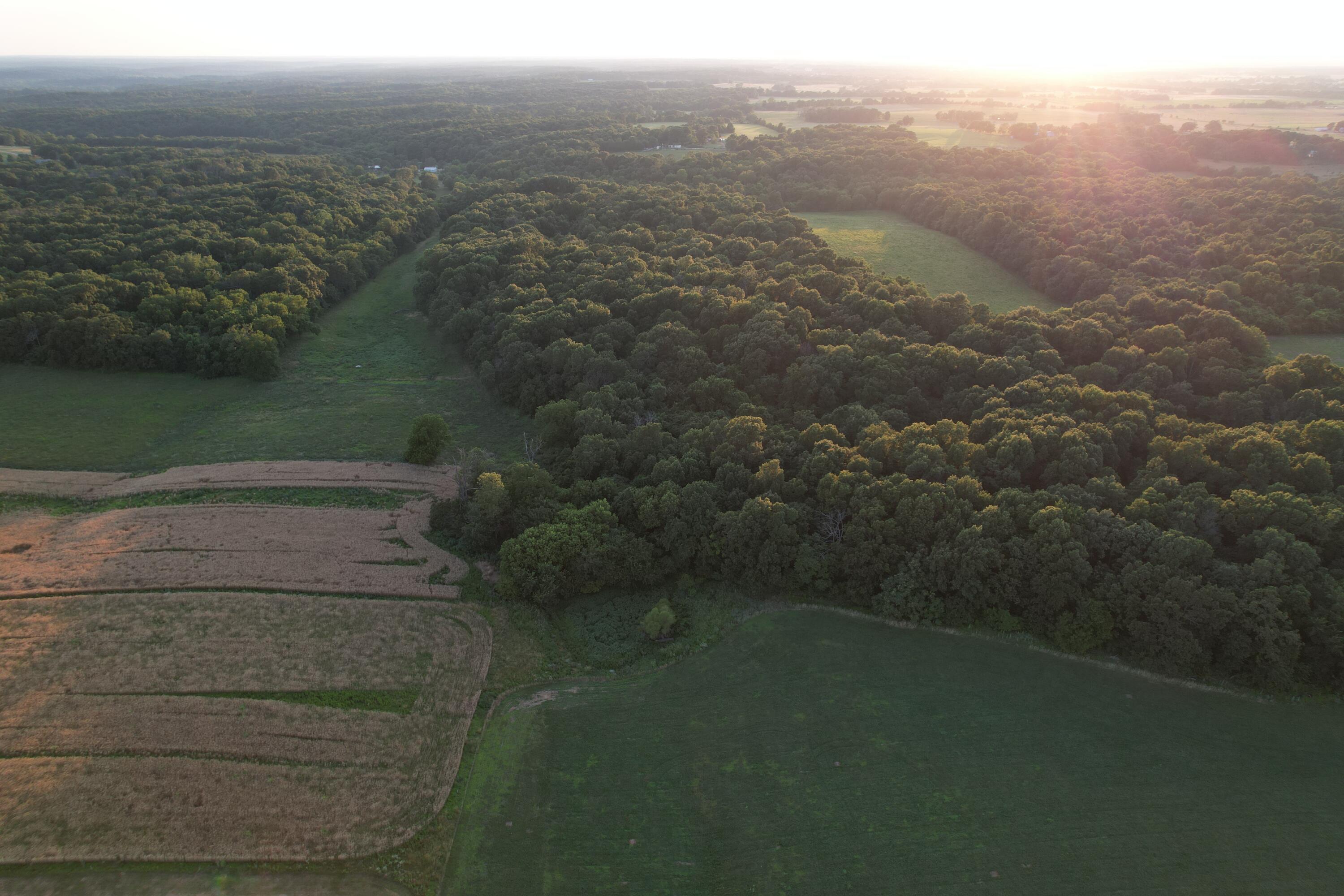 26548 Foliage Road Property Photo 29