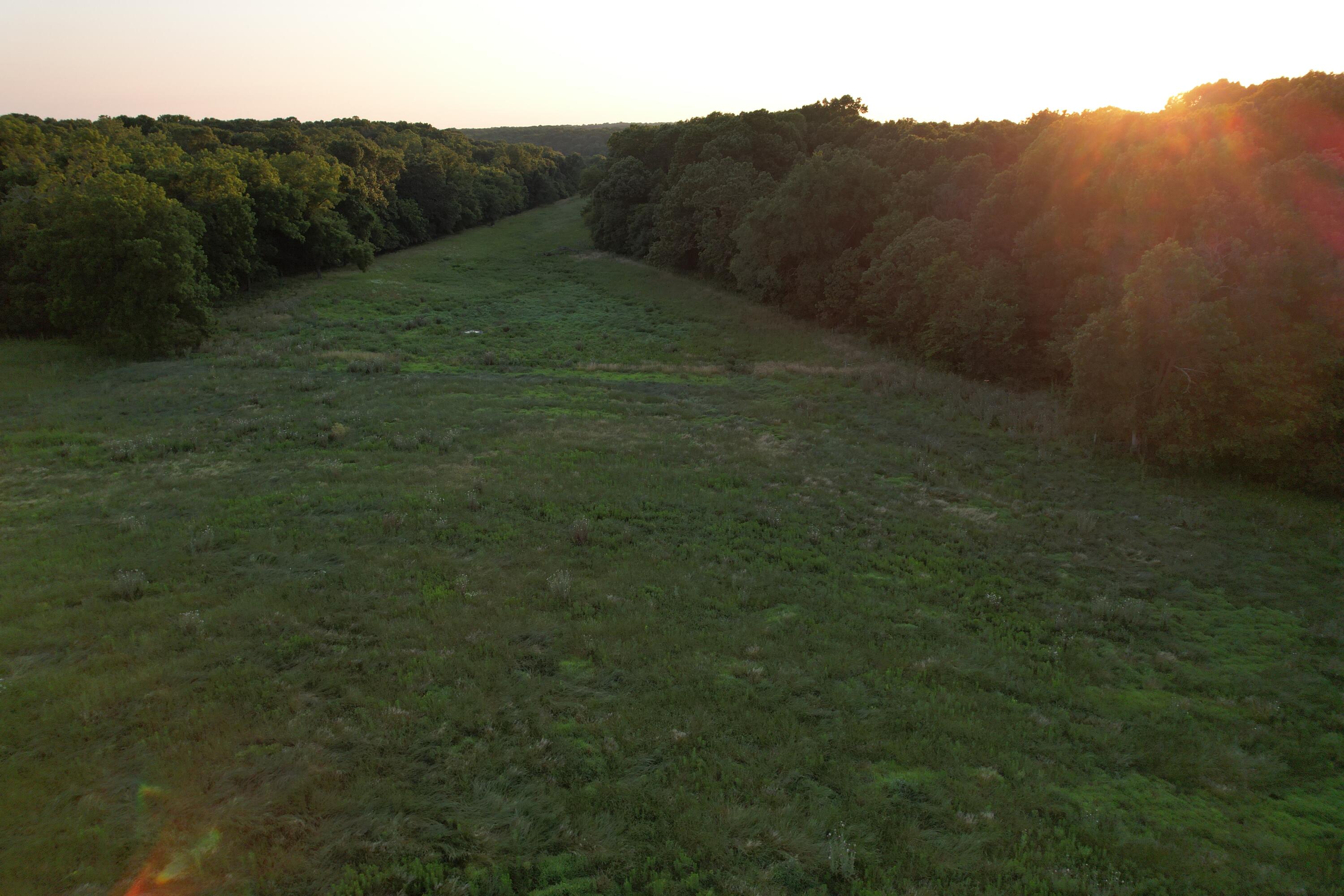26548 Foliage Road Property Photo 31