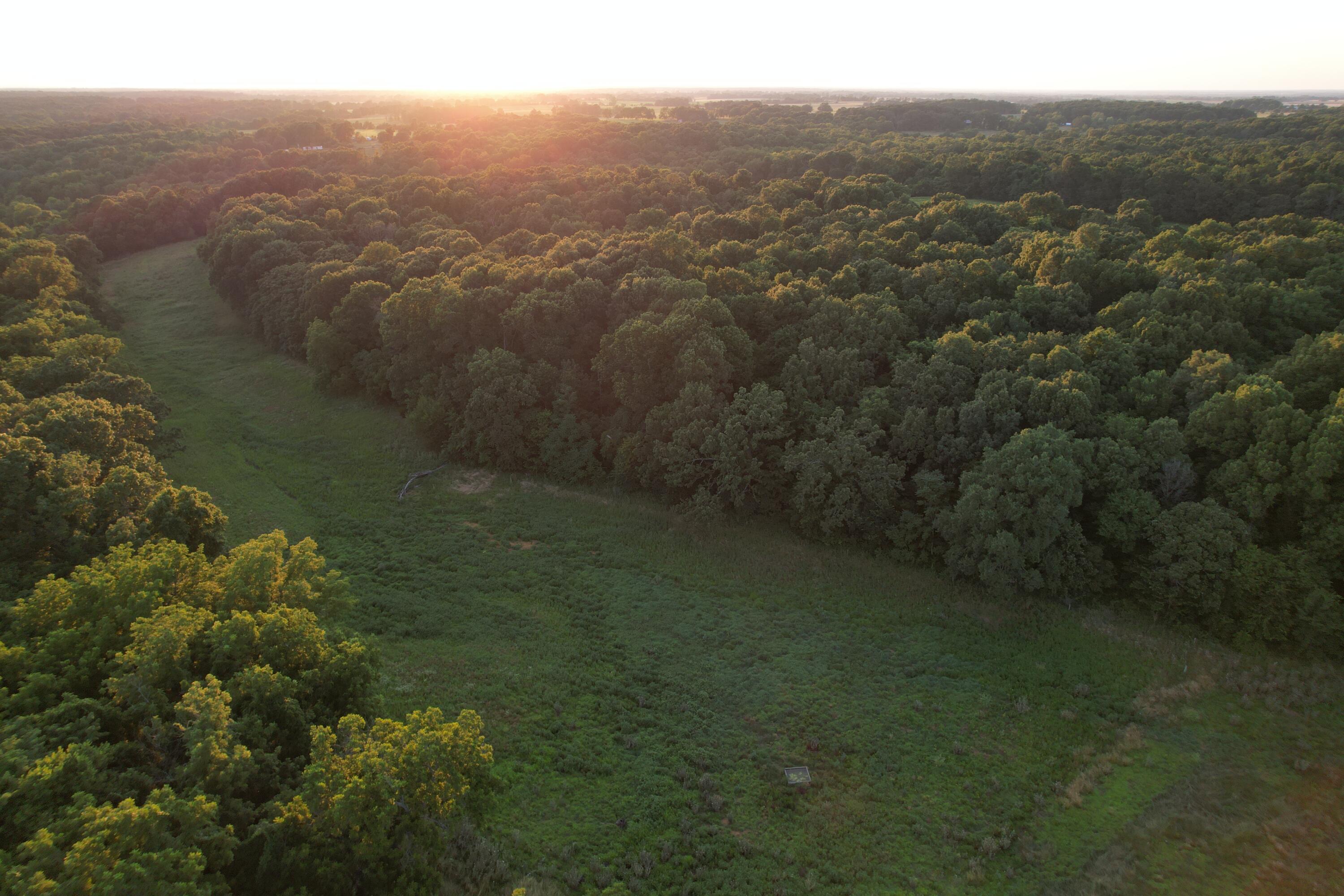 26548 Foliage Road Property Photo 33