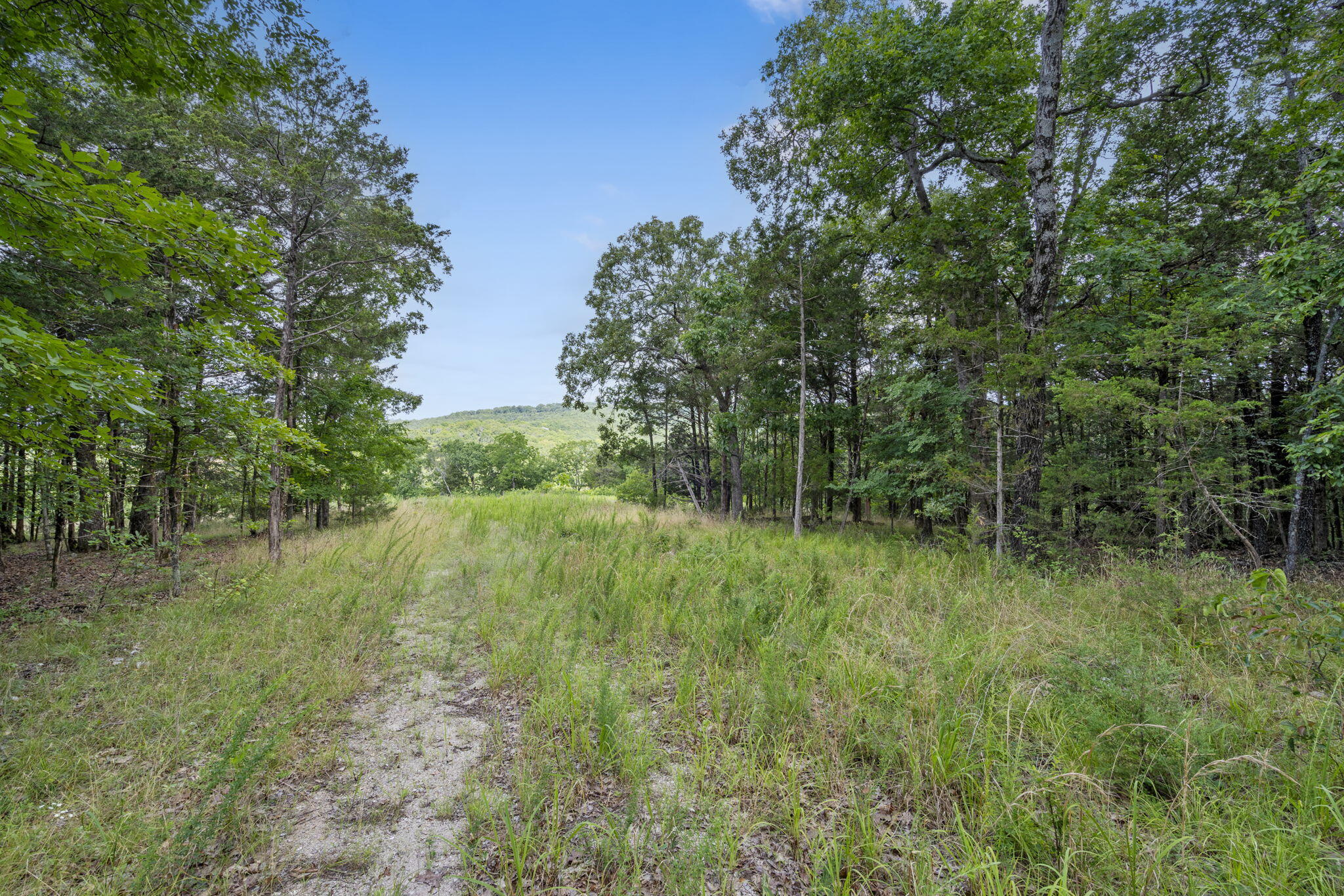 Tbd Luke Street Property Photo 10