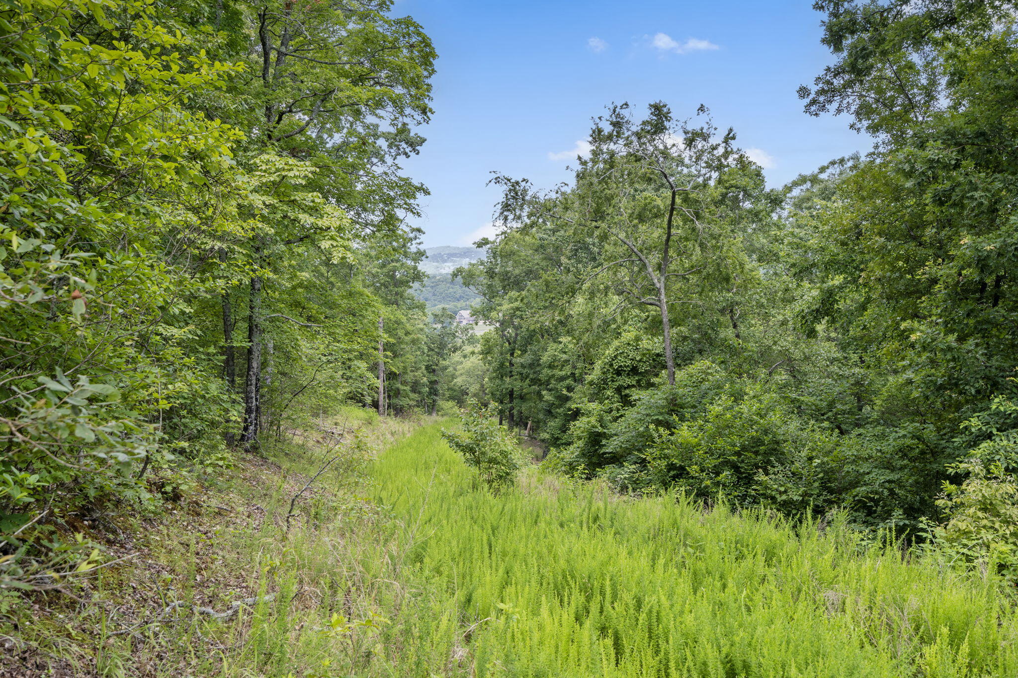 Tbd Luke Street Property Photo 21