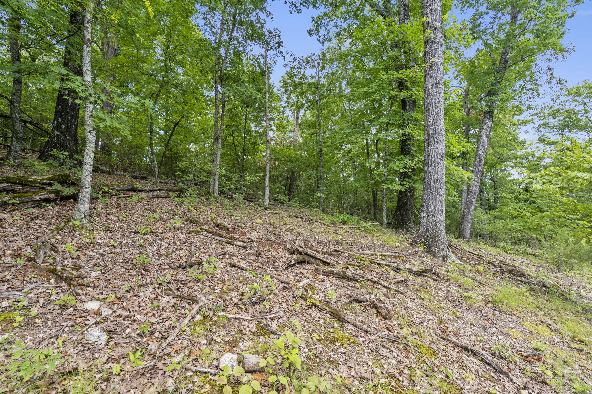 Tbd Luke Street Property Photo 22