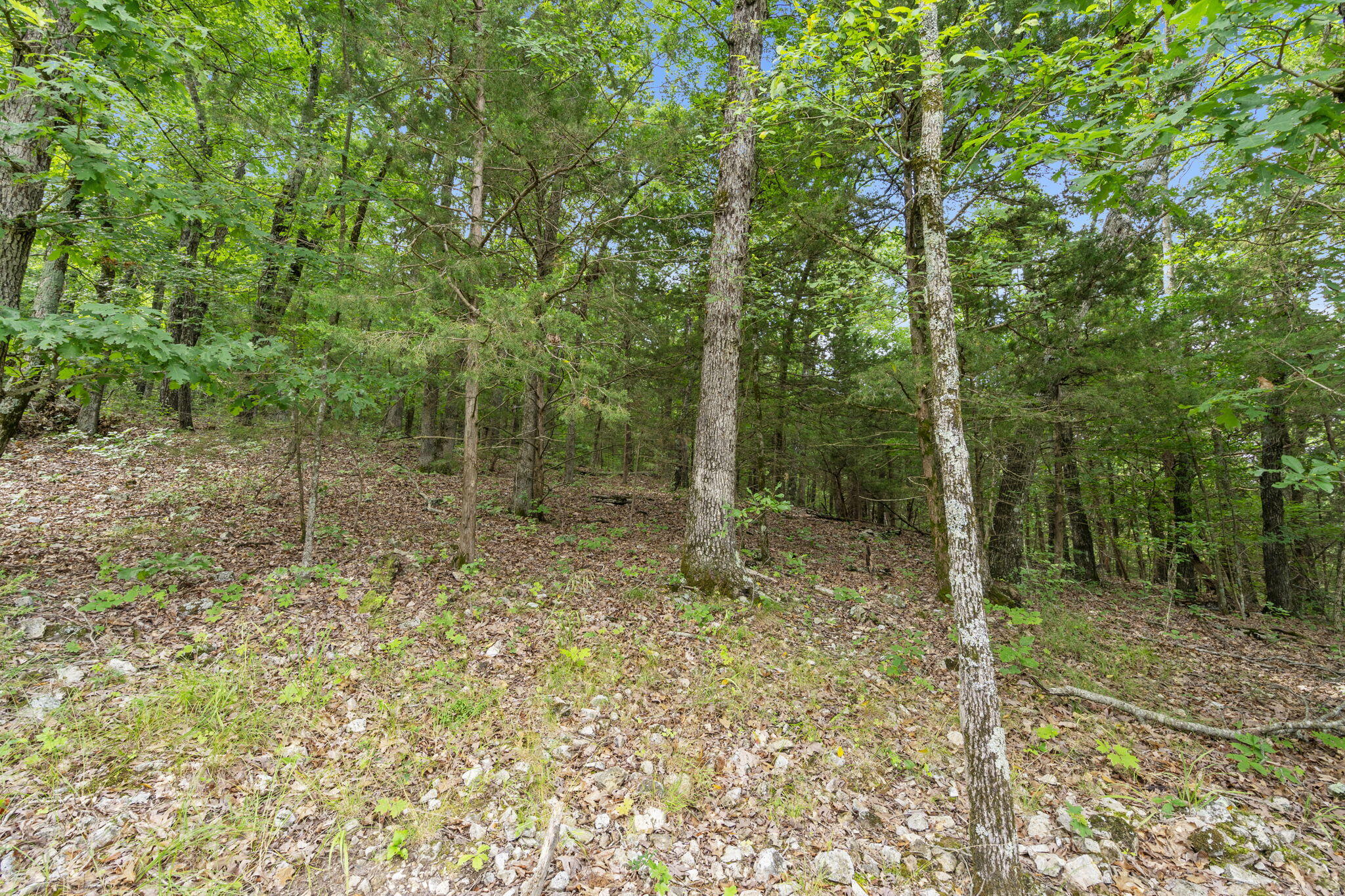 Tbd Luke Street Property Photo 23