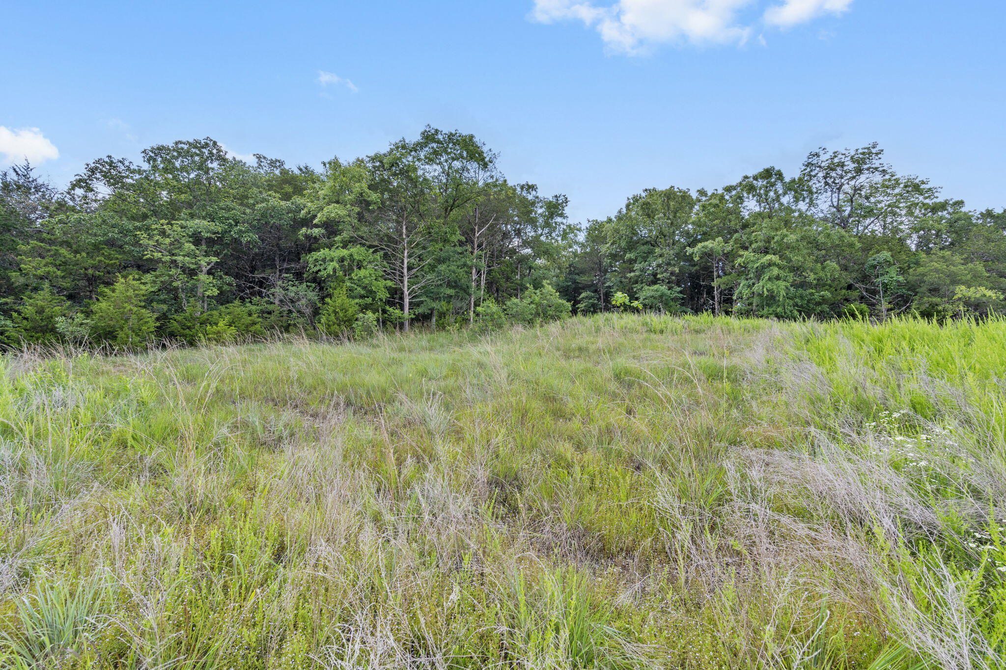 Tbd Luke Street Property Photo 25