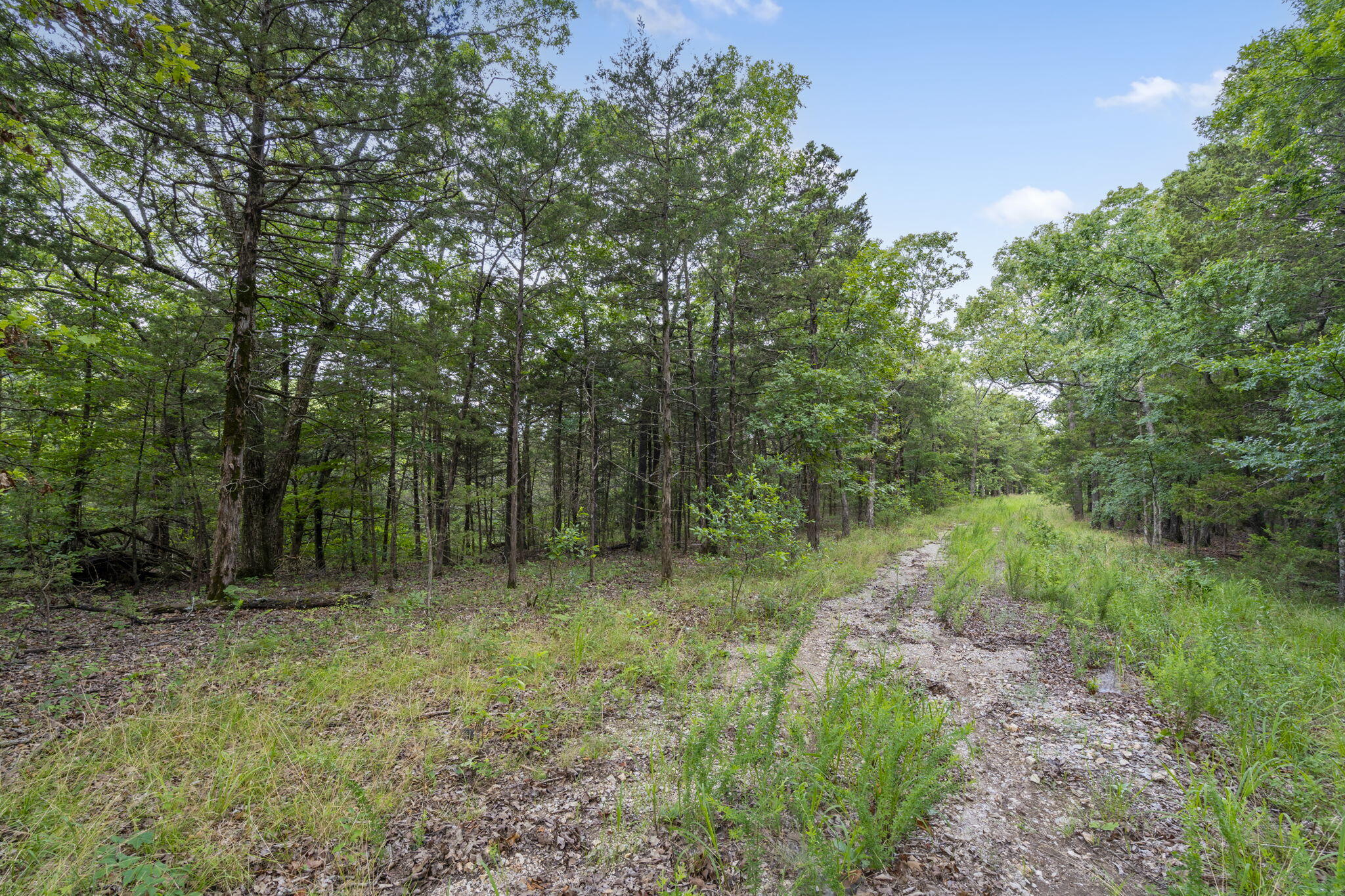 Tbd Luke Street Property Photo 26