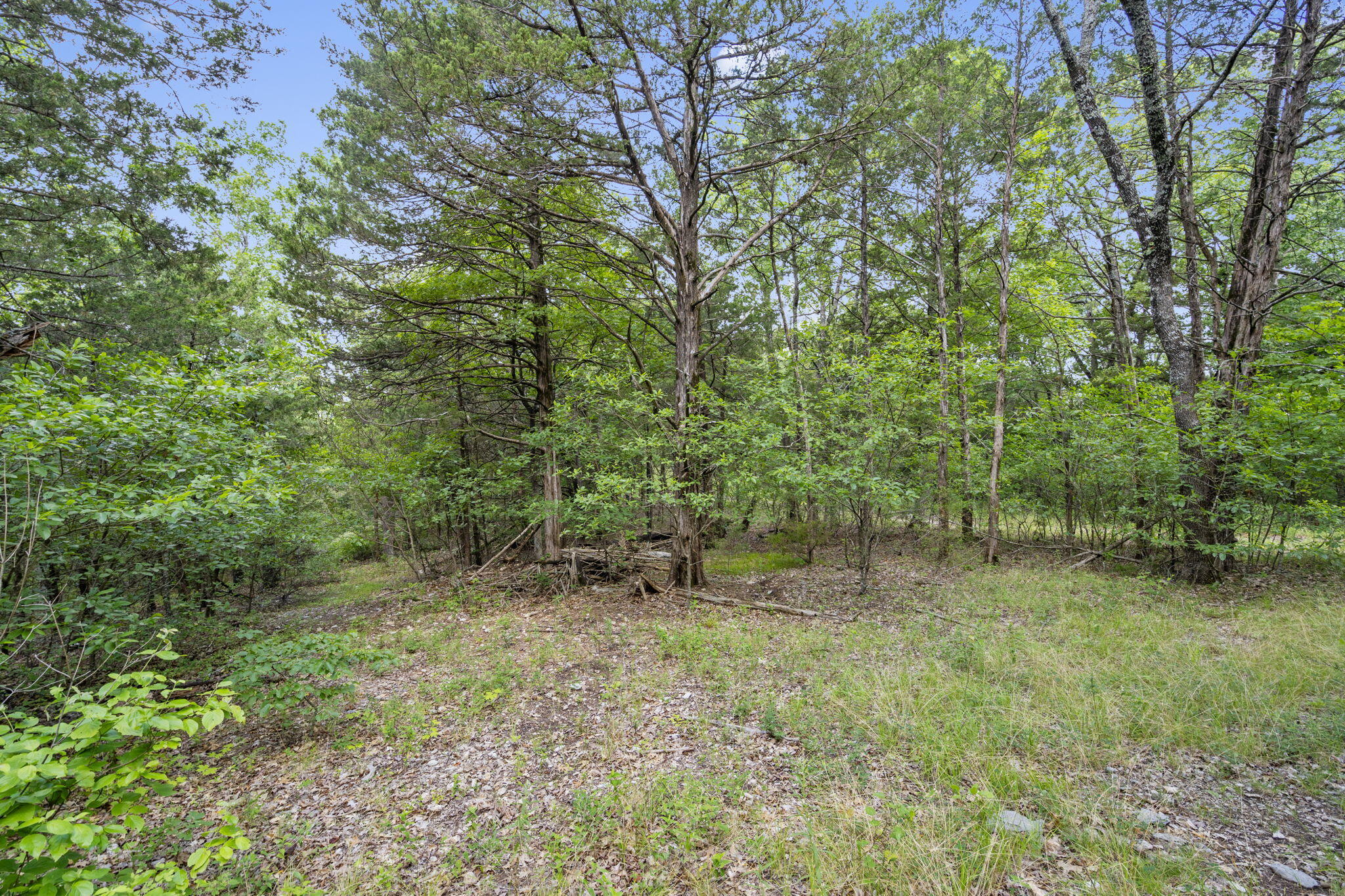 Tbd Luke Street Property Photo 27