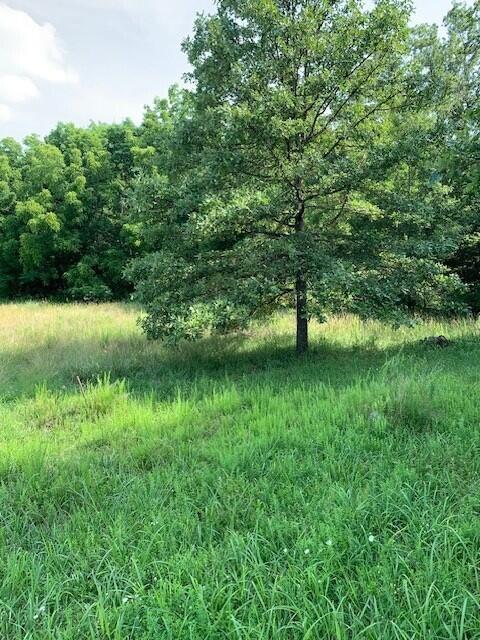 28 Danbury Lane Property Photo 11