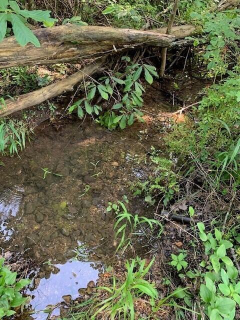 28 Danbury Lane Property Photo 13