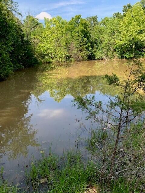 28 Danbury Lane Property Photo 14