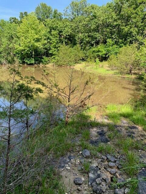 28 Danbury Lane Property Photo 15