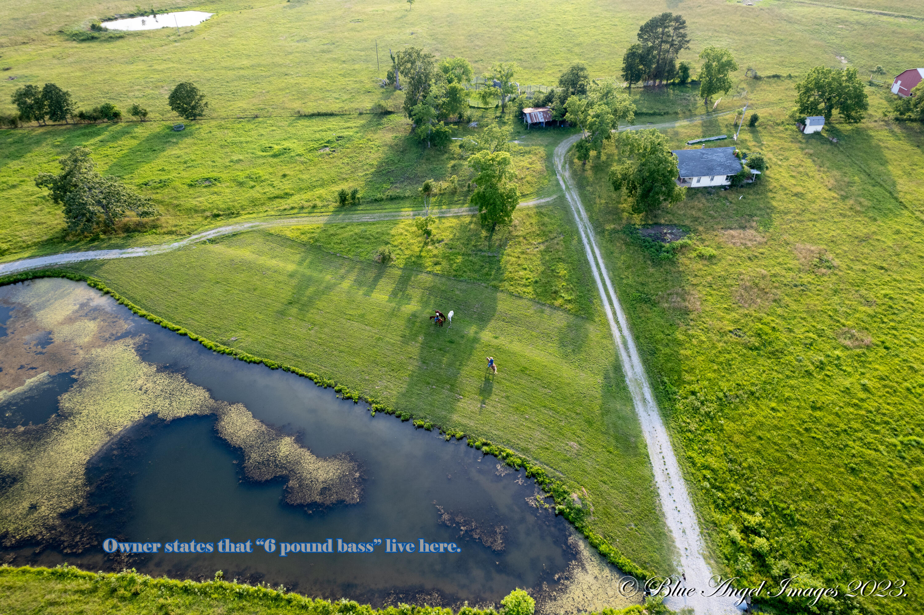 000 County Road 7400 Property Photo 8