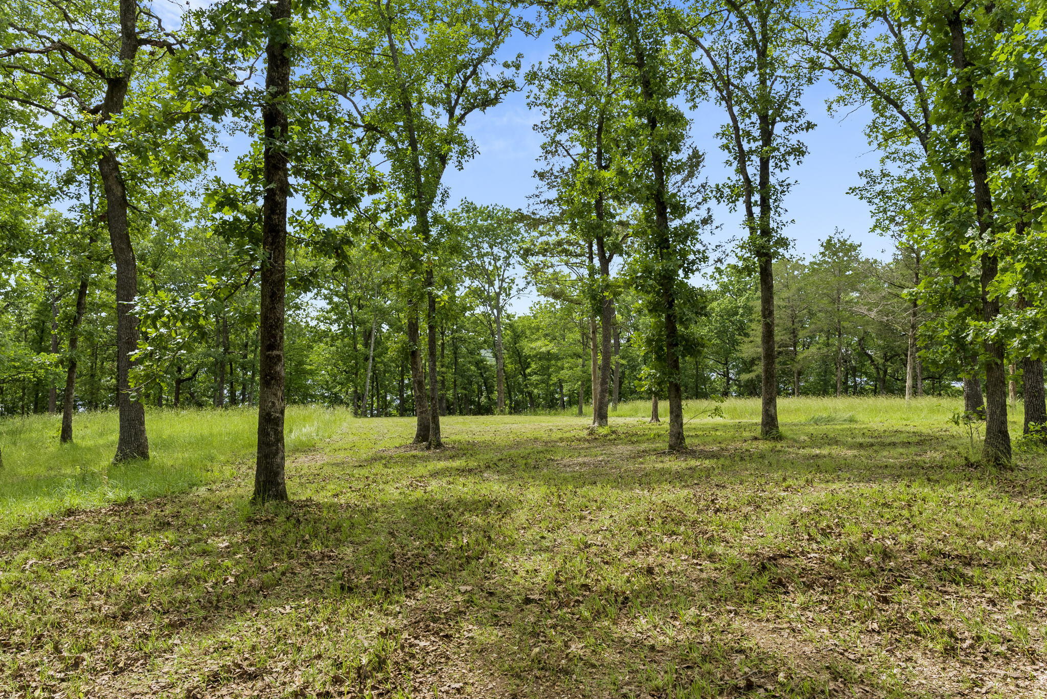 Tbd Terrace Park Road Property Photo 6