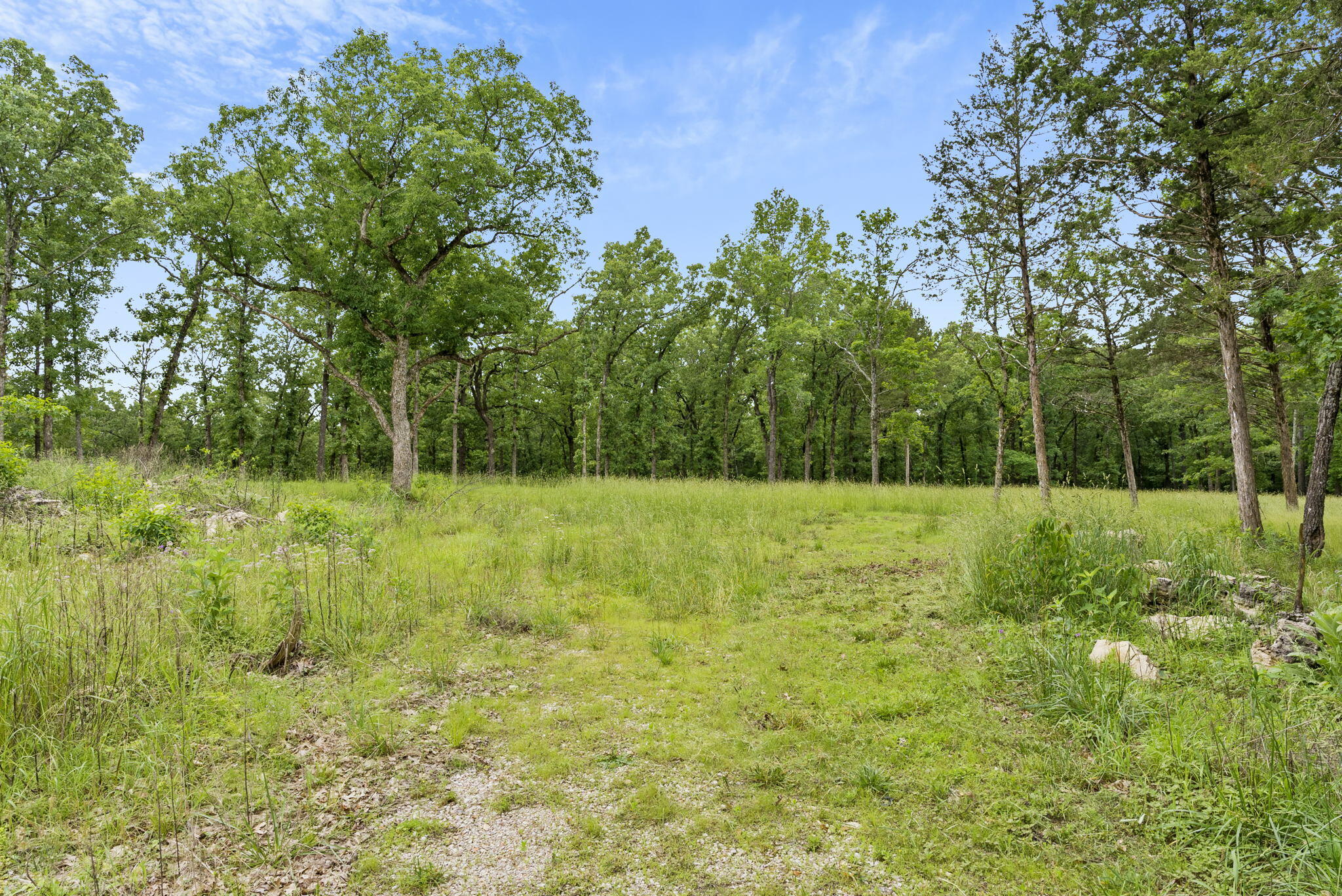 Tbd Terrace Park Road Property Photo 11