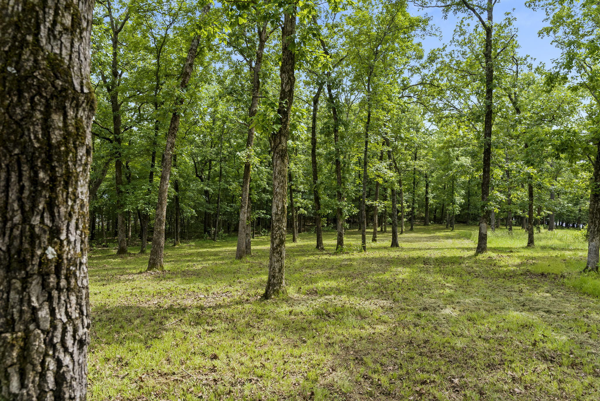 Tbd Terrace Park Road Property Photo 12