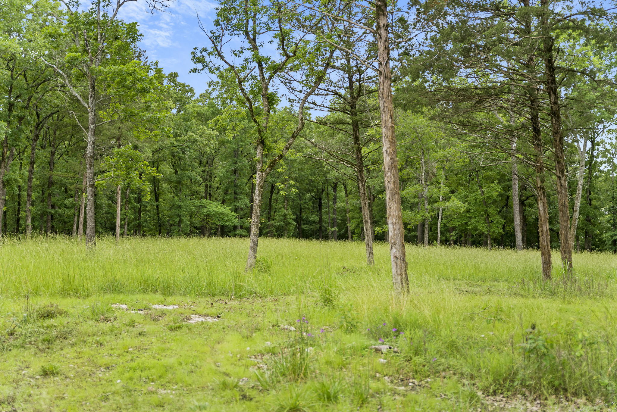 Tbd Terrace Park Road Property Photo 13