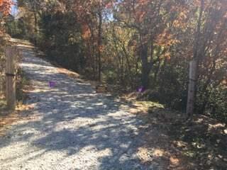 858 Kimberlin Mill Road Property Photo 3
