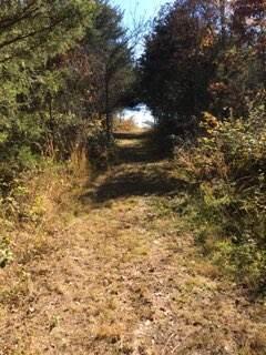 858 Kimberlin Mill Road Property Photo 15
