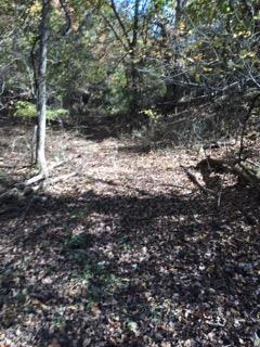 858 Kimberlin Mill Road Property Photo 16