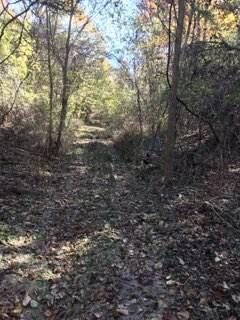 858 Kimberlin Mill Road Property Photo 18