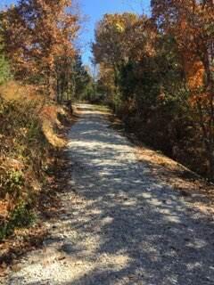 858 Kimberlin Mill Road Property Photo 19