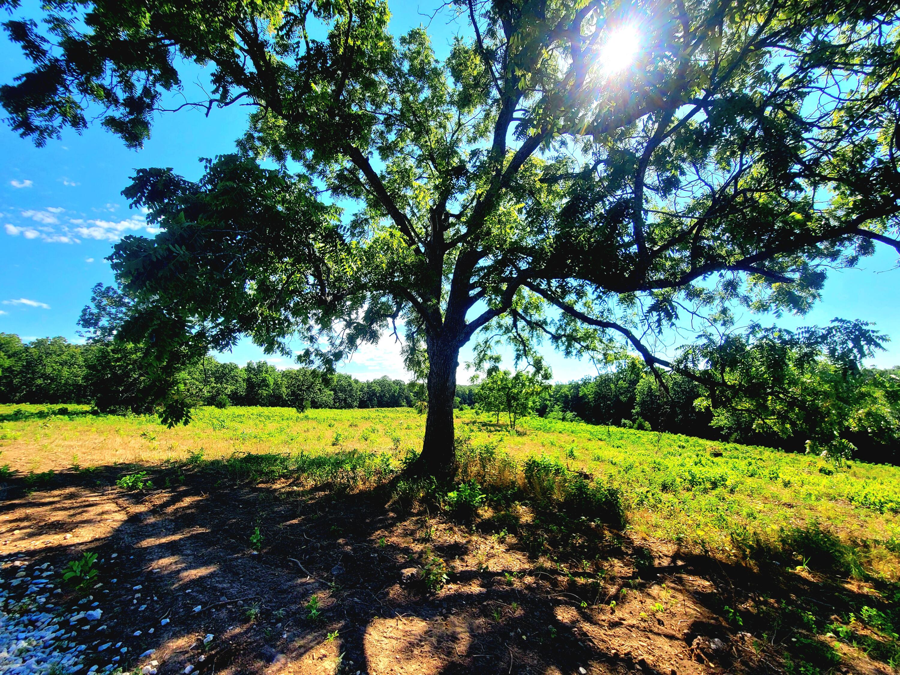 Lot 3 East 325th Road Property Photo 3