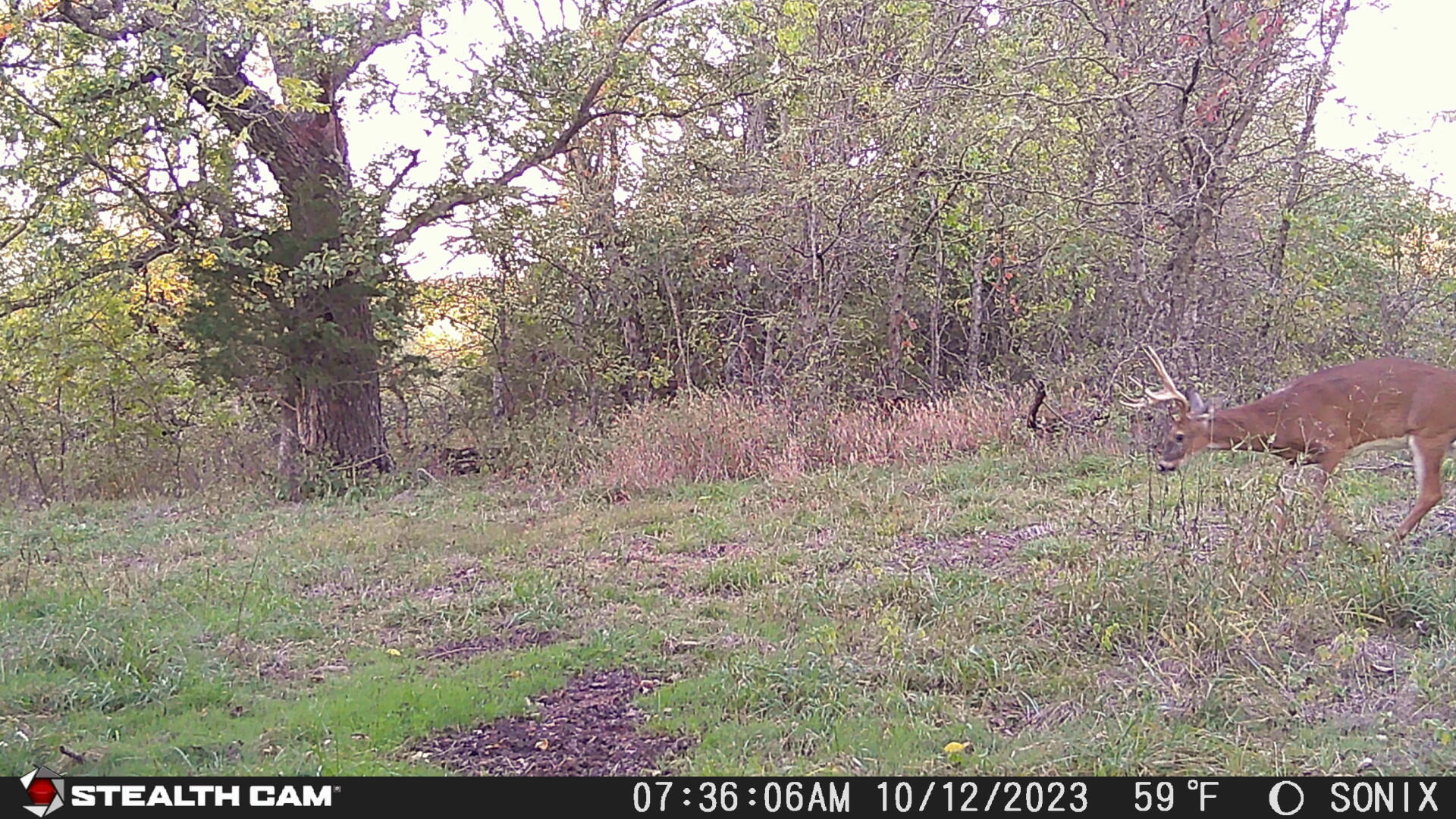 Lot 3 East 325th Road Property Photo 8
