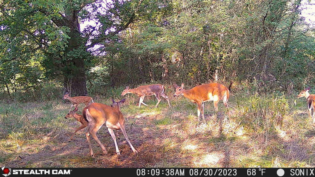 Lot 3 East 325th Road Property Photo 9