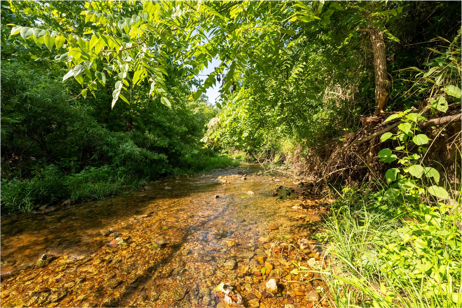 766 Rainbow Valley Trail Property Photo 1