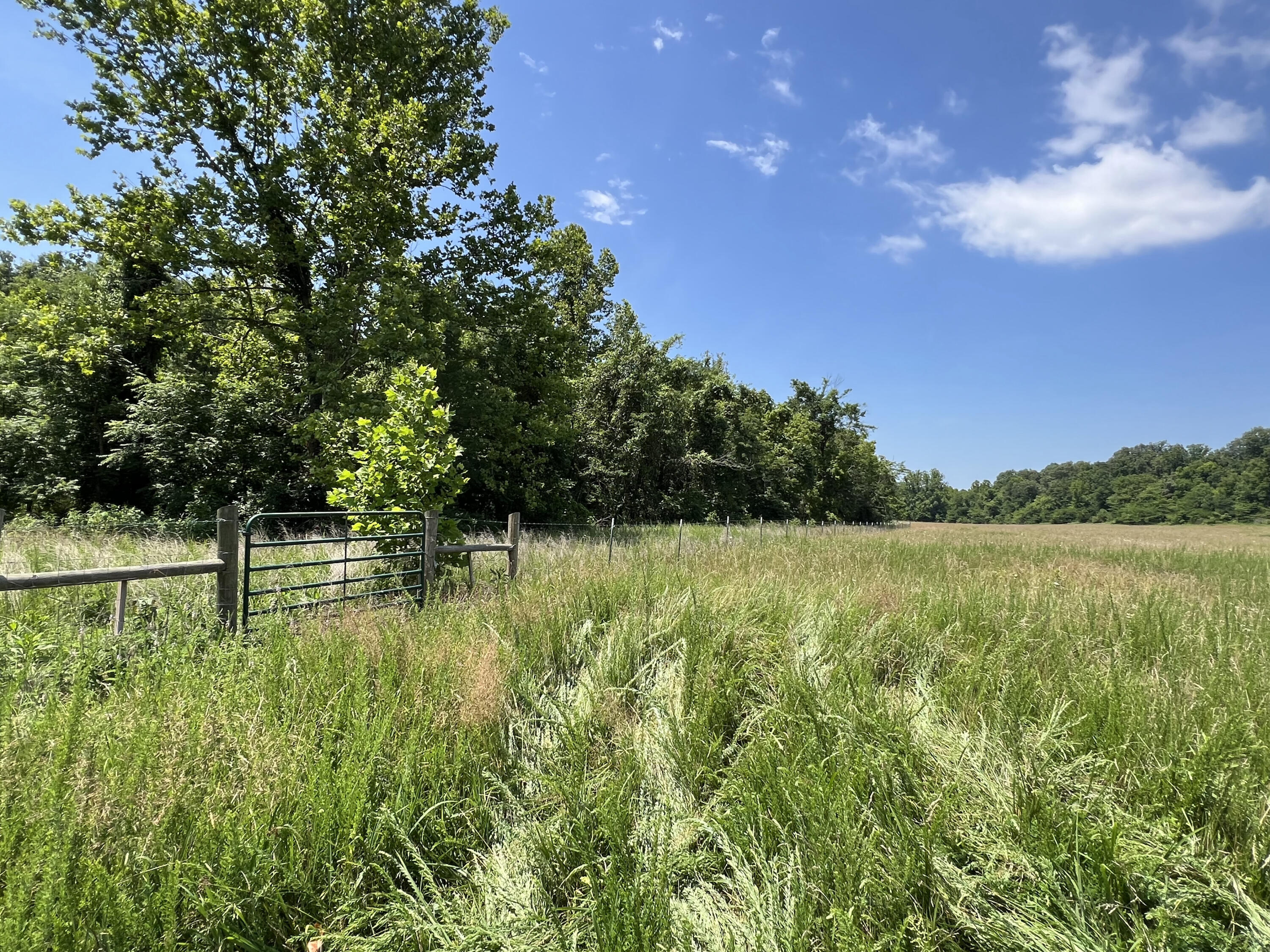 766 Rainbow Valley Trail Property Photo 2