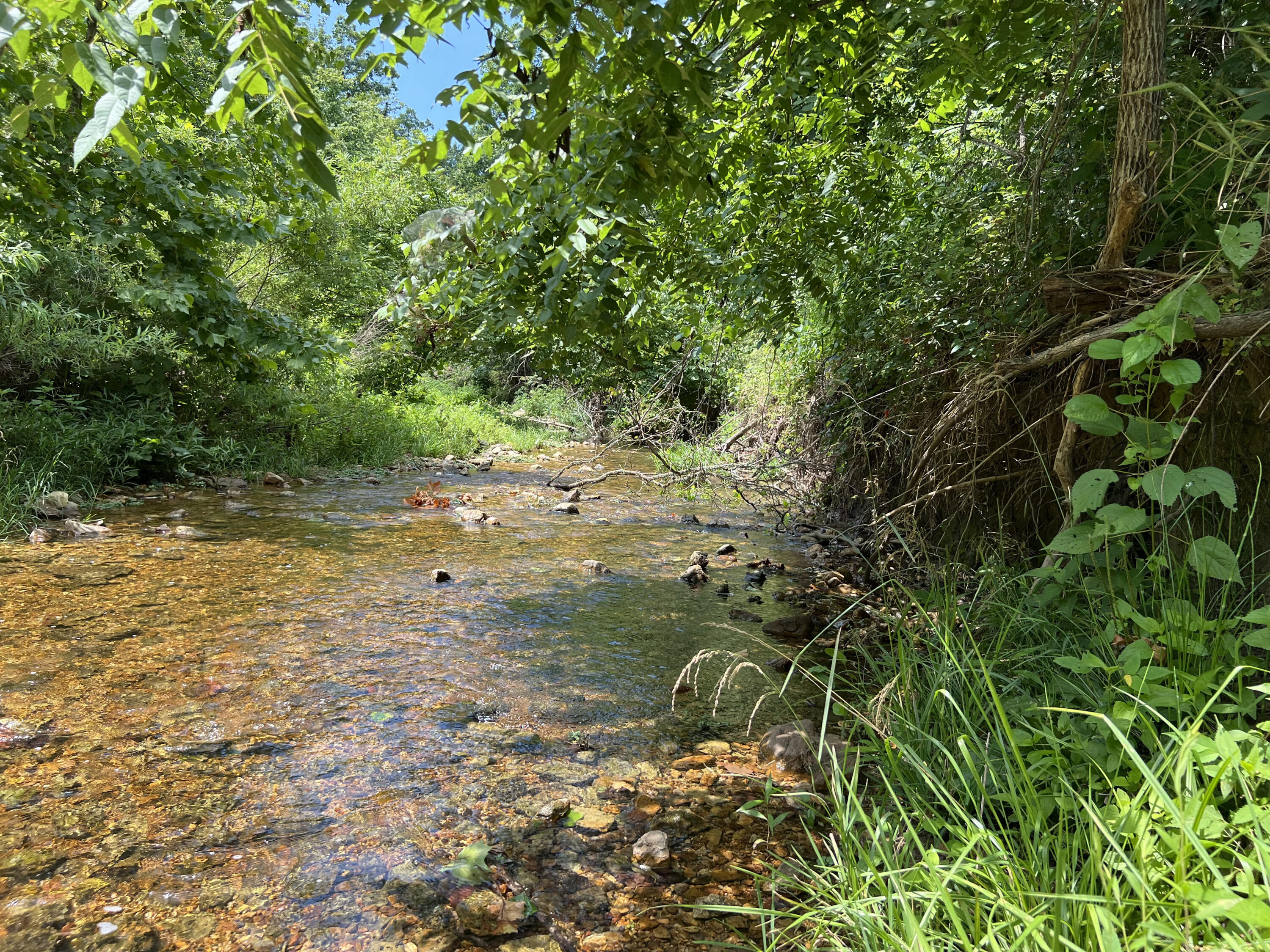 766 Rainbow Valley Trail Property Photo 5
