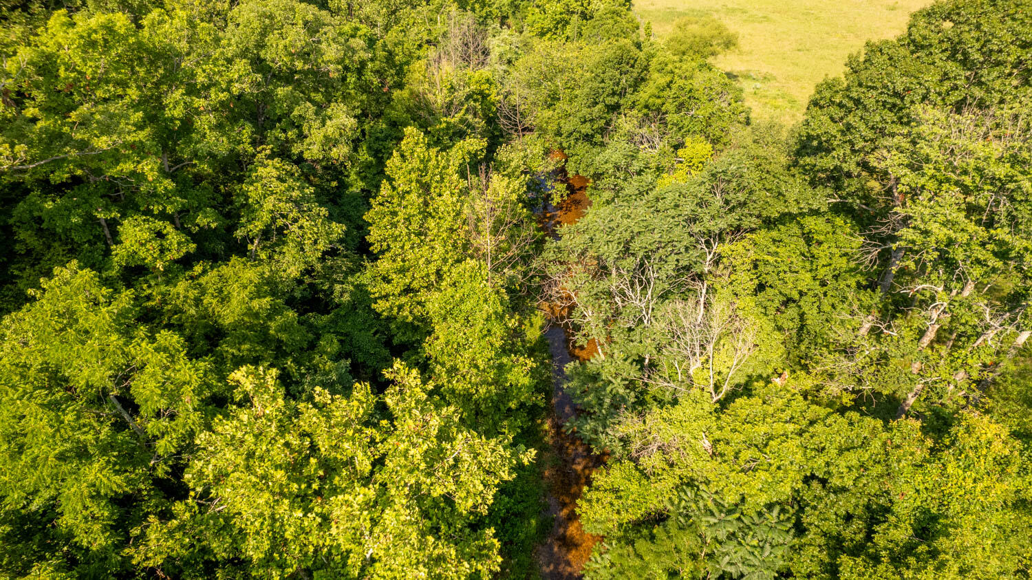 766 Rainbow Valley Trail Property Photo 10