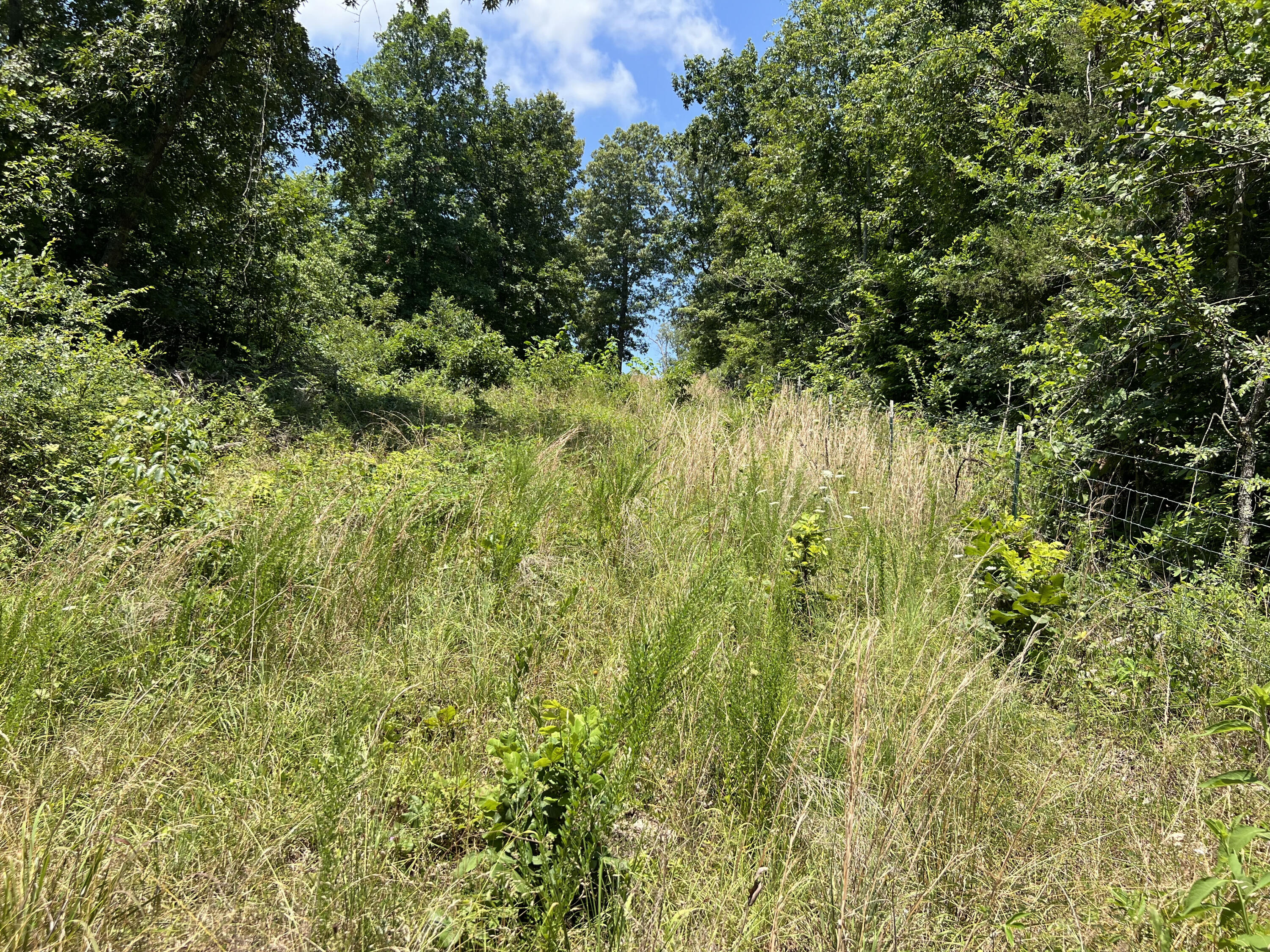 766 Rainbow Valley Trail Property Photo 15