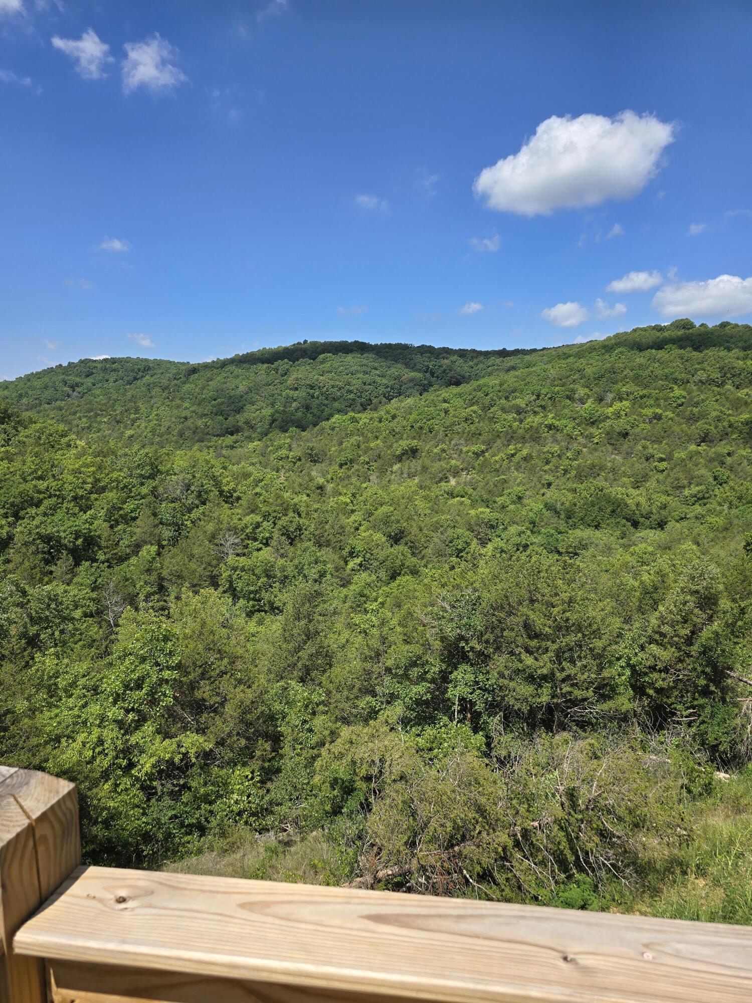 500 Timber Wolf Road Property Photo 11