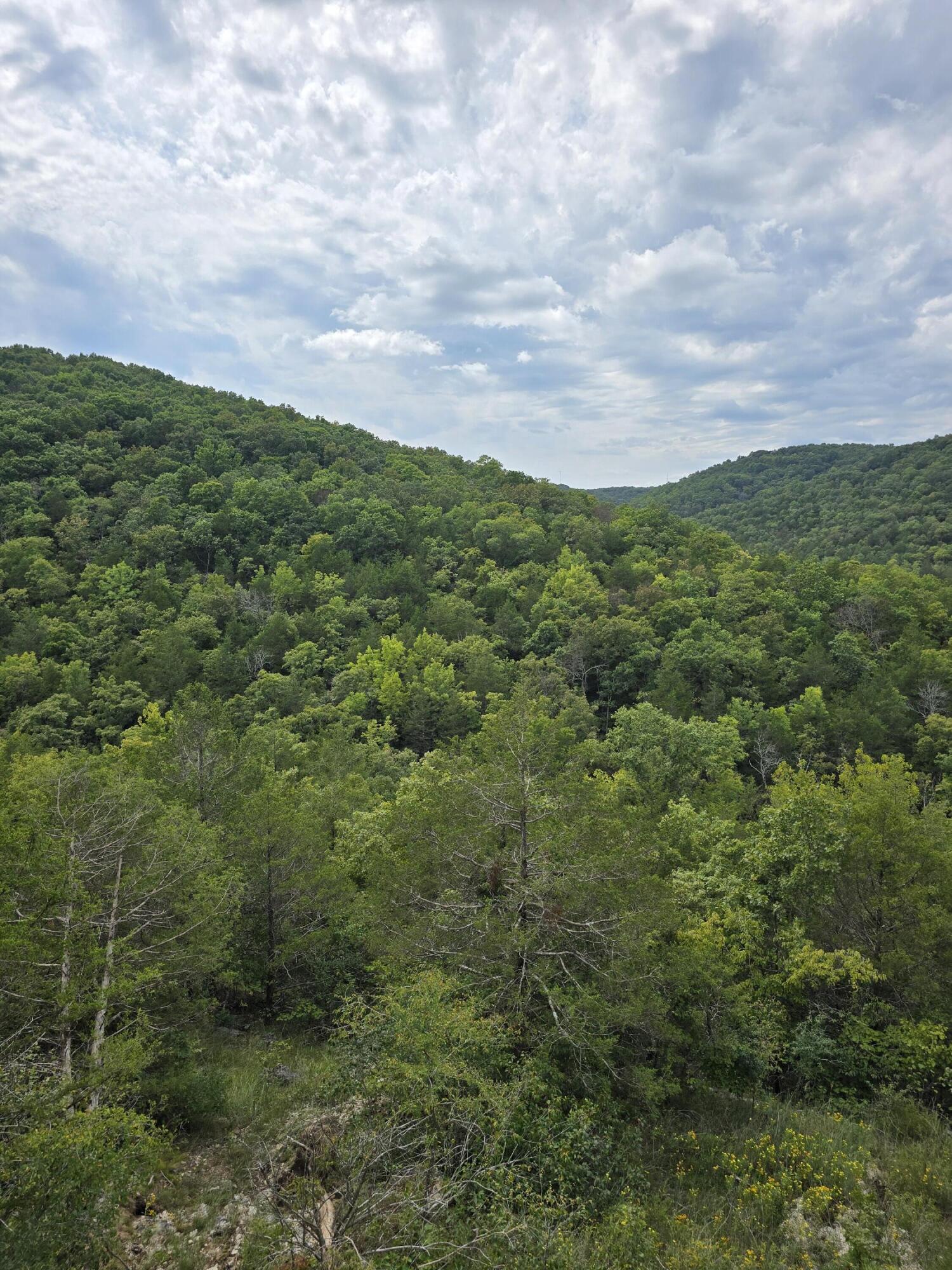 500 Timber Wolf Road Property Photo 49