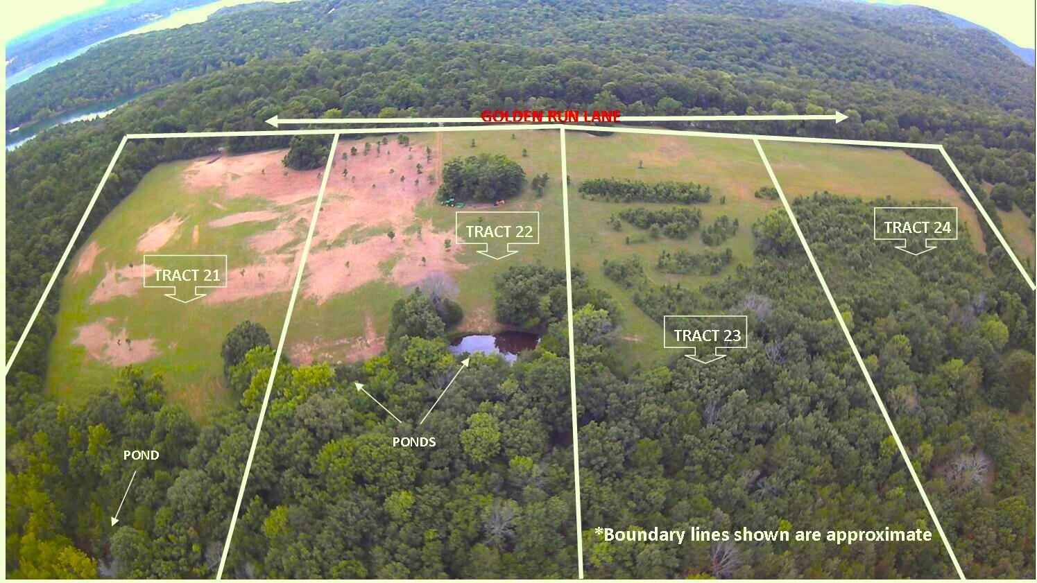 000 Golden Run Tract 22 Lane Property Photo 2