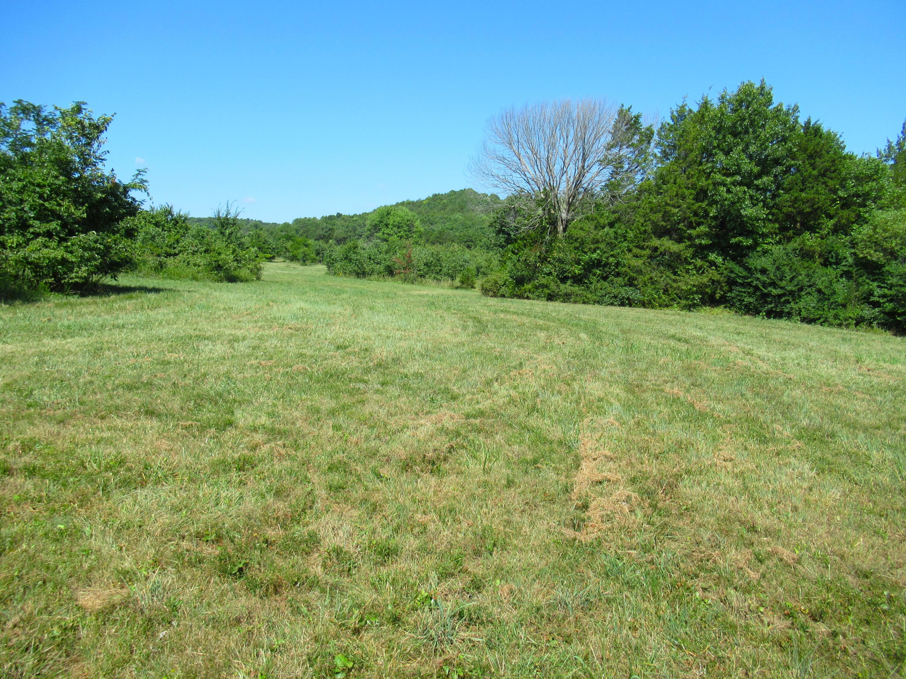 000 Golden Run Tract 22 Lane Property Photo 4