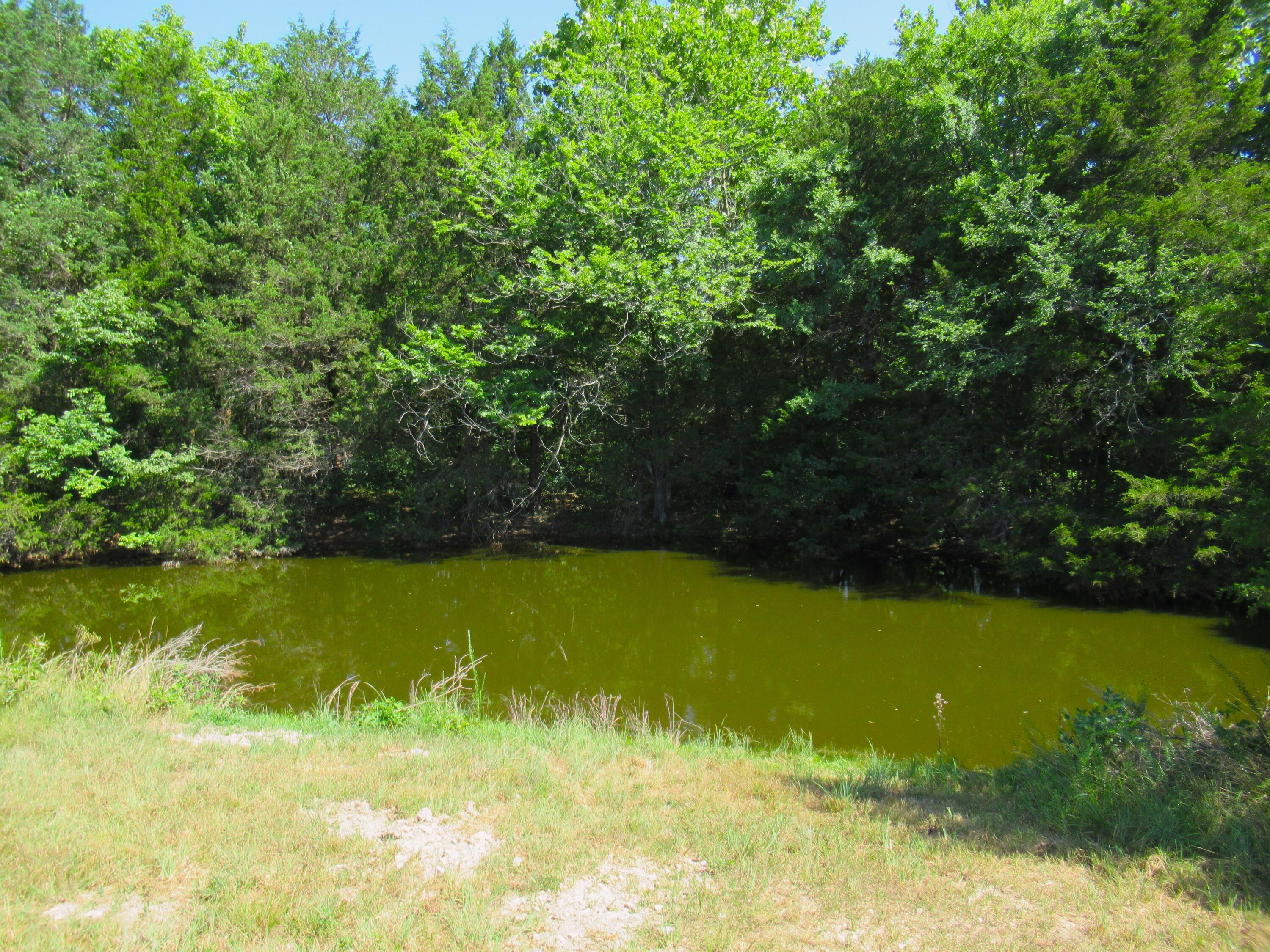 000 Golden Run Tract 22 Lane Property Photo 7