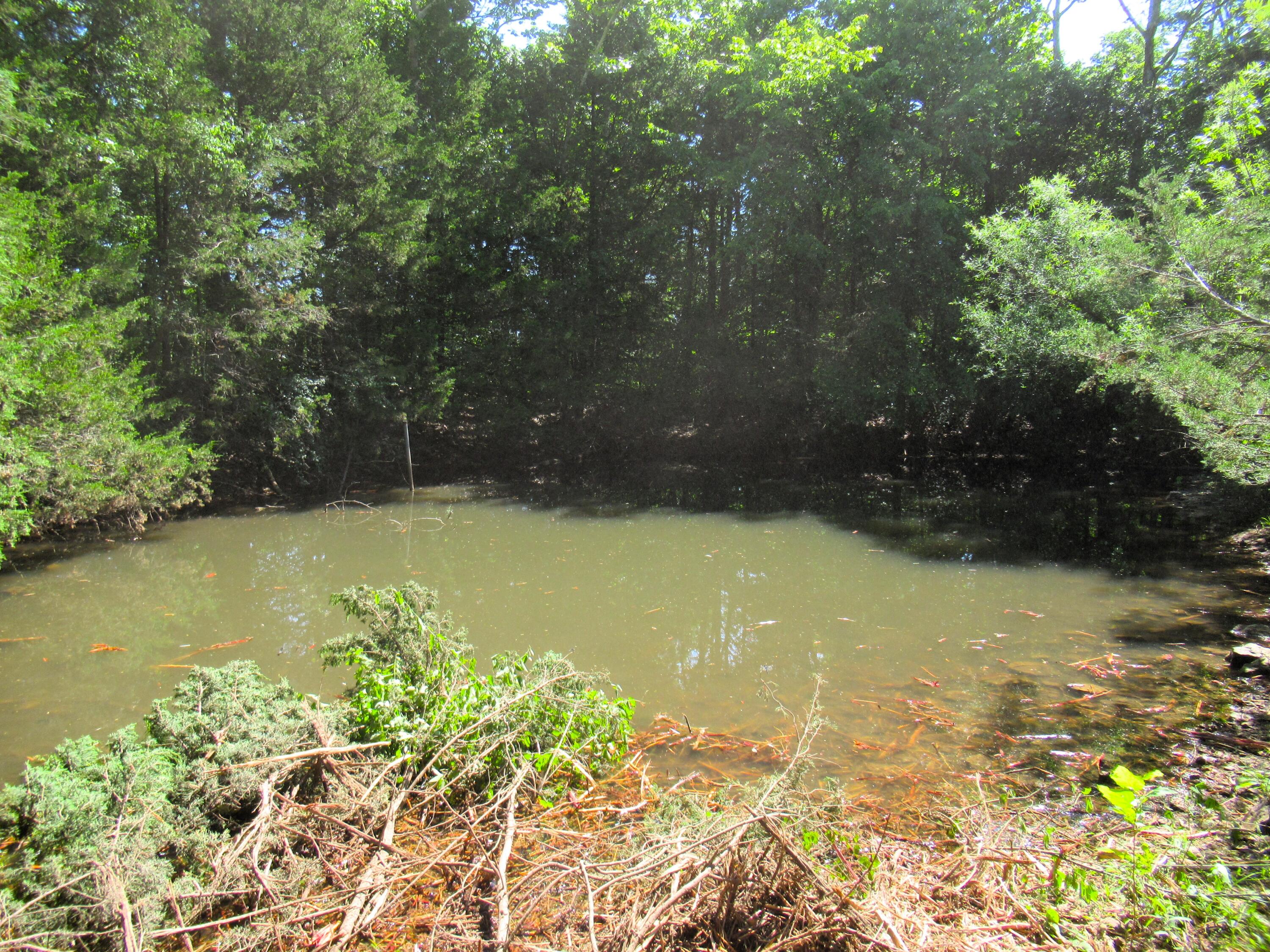 000 Golden Run Tract 22 Lane Property Photo 8