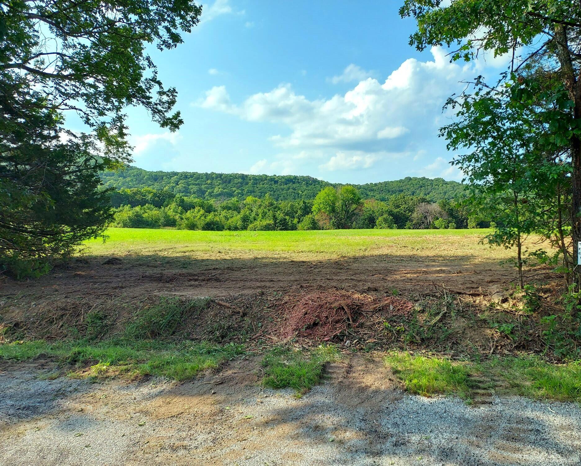 000 Golden Run Tract 23 Lane Property Photo 2