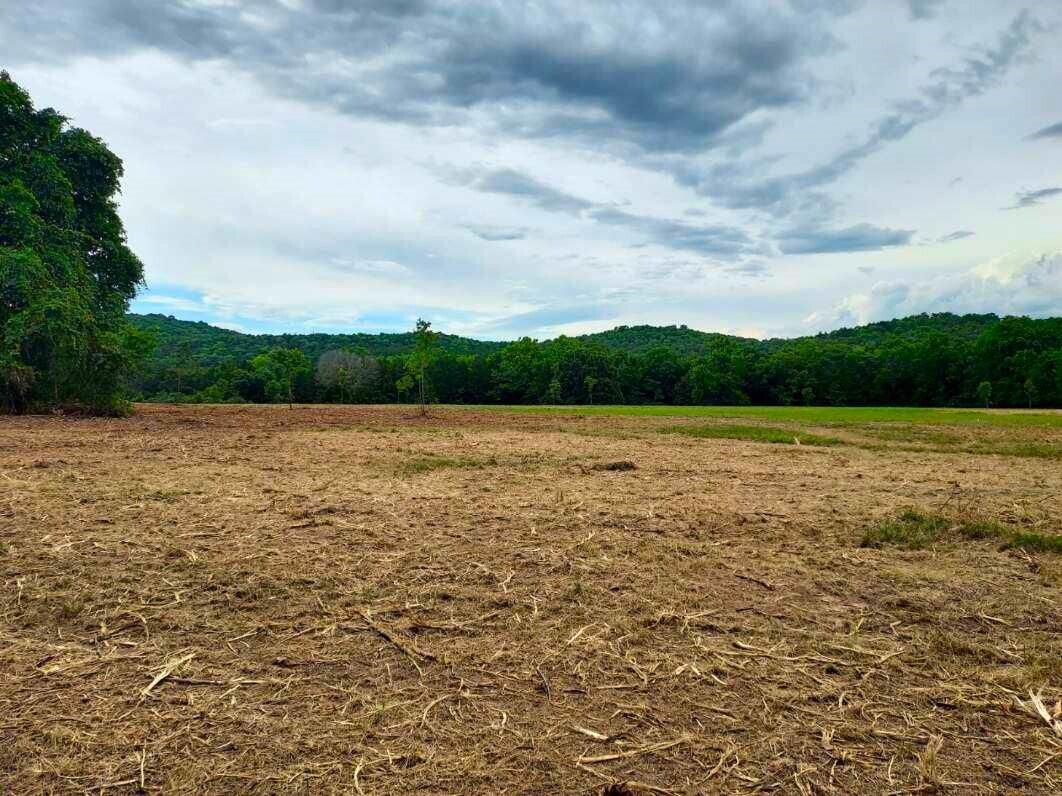 000 Golden Run Tract 23 Lane Property Photo 15