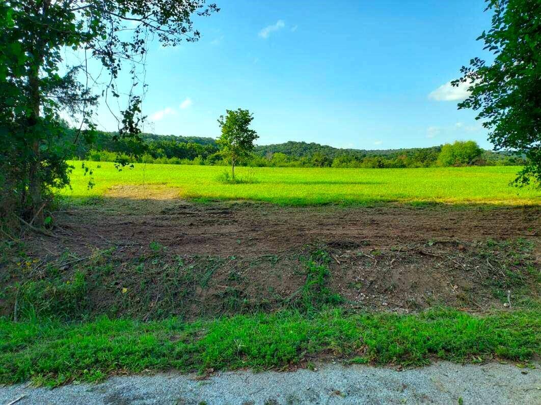 000 Golden Run Tract 24 Lane Property Photo 2