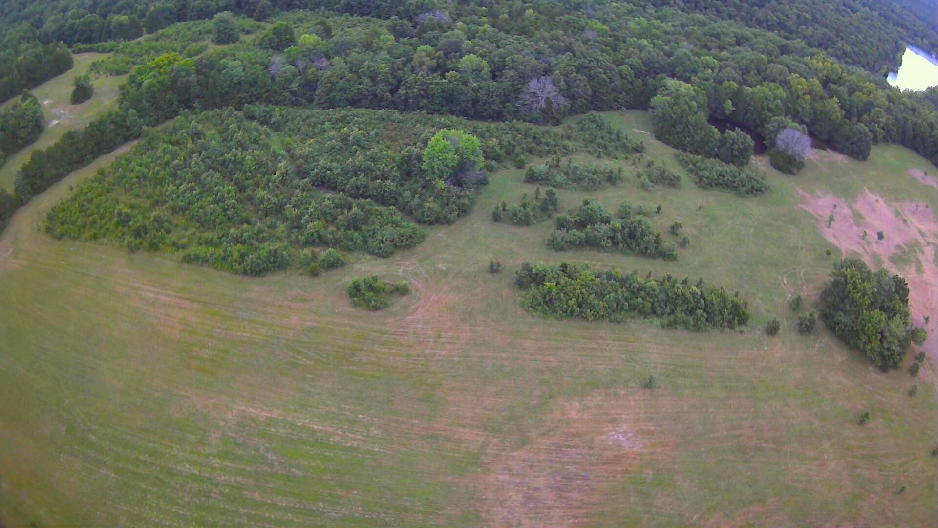 000 Golden Run Tract 24 Lane Property Photo 9