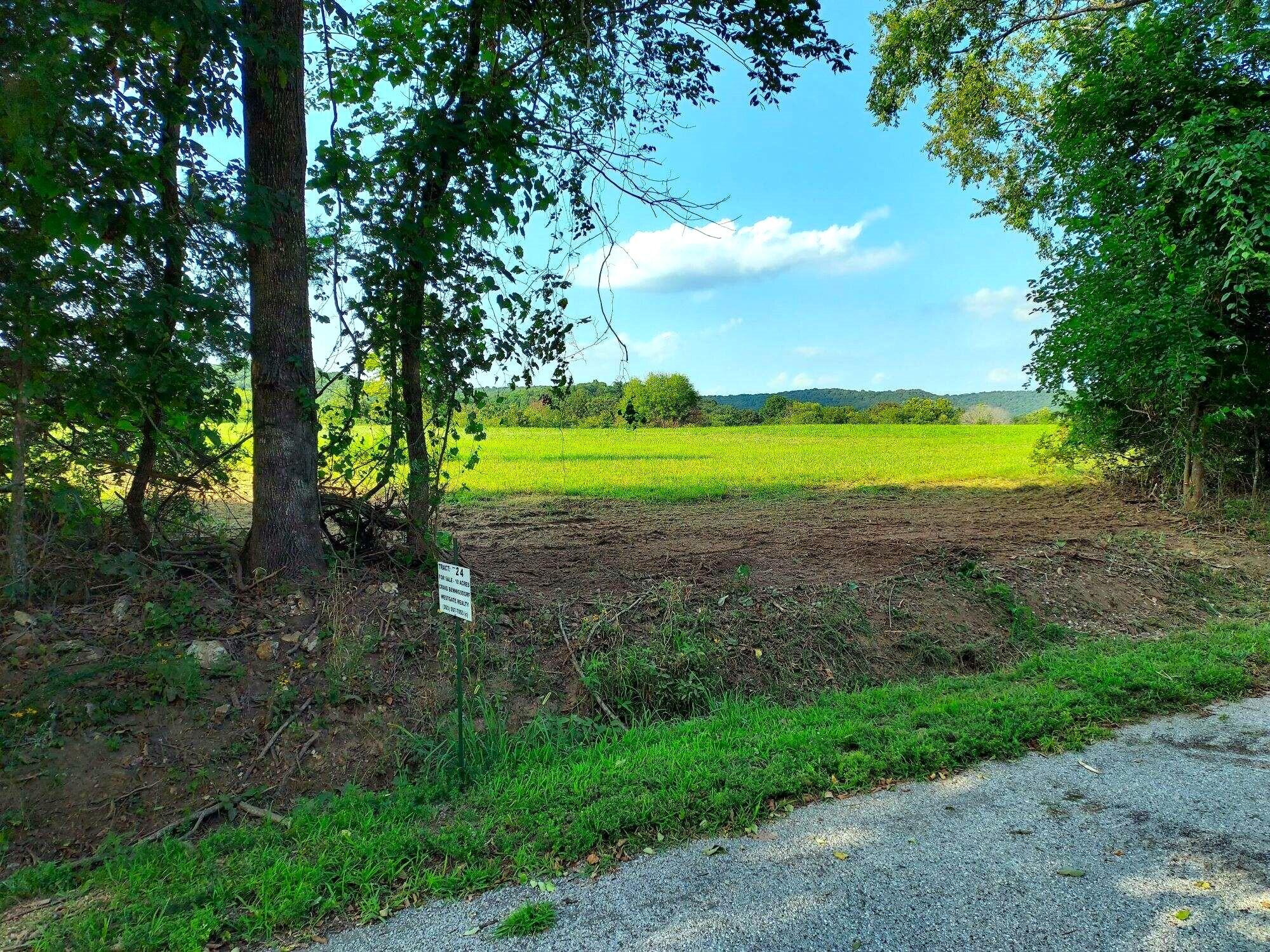 000 Golden Run Tract 24 Lane Property Photo 15