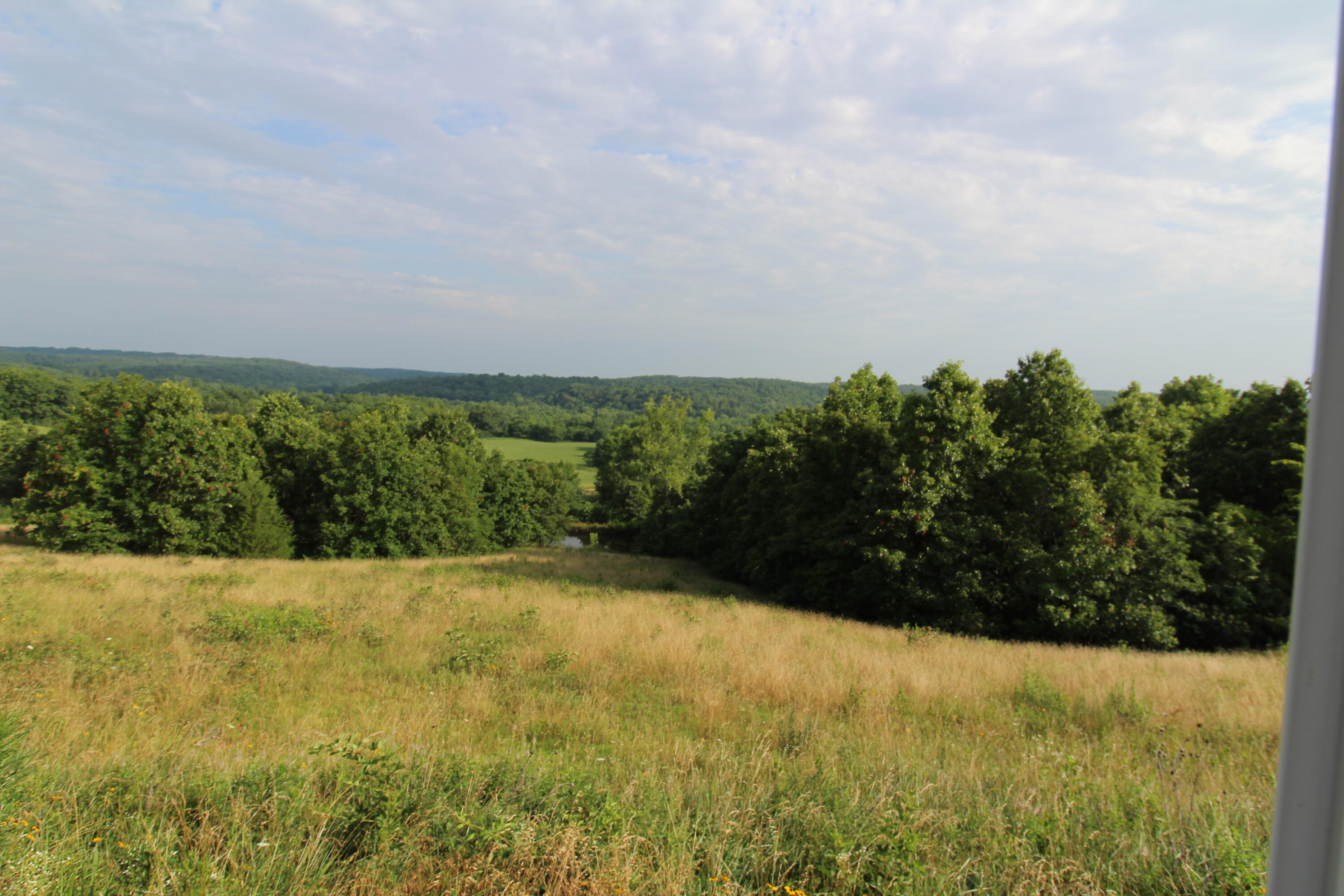 Tbd Off Of Highway 137 Property Photo 11