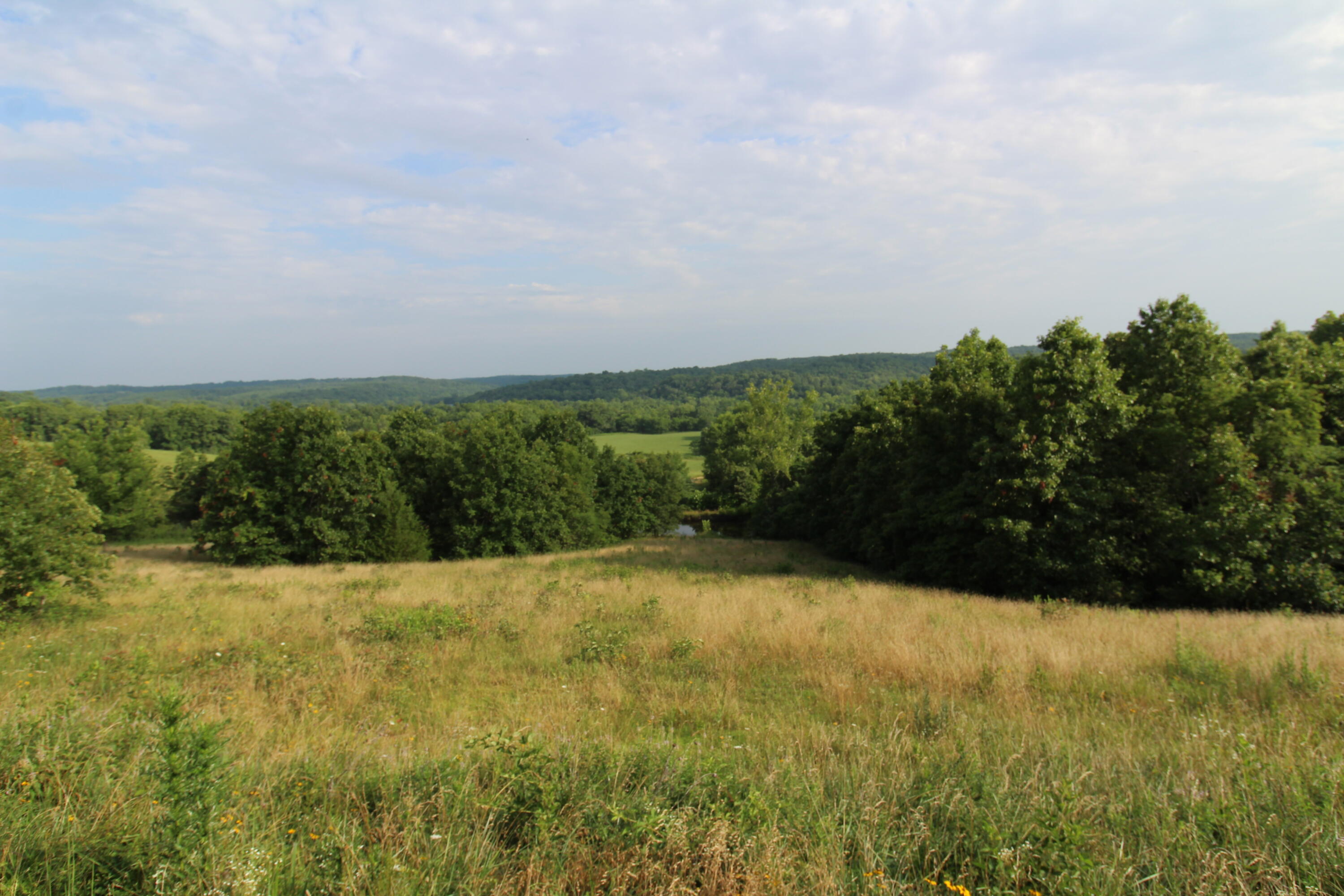 Tbd Off Of Highway 137 Property Photo 14