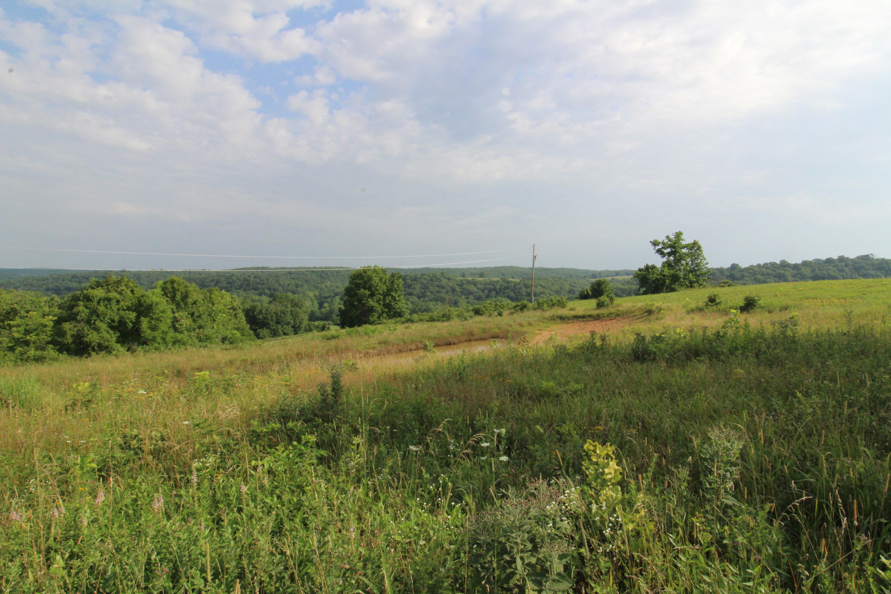 Tbd Off Of Highway 137 Property Photo 15