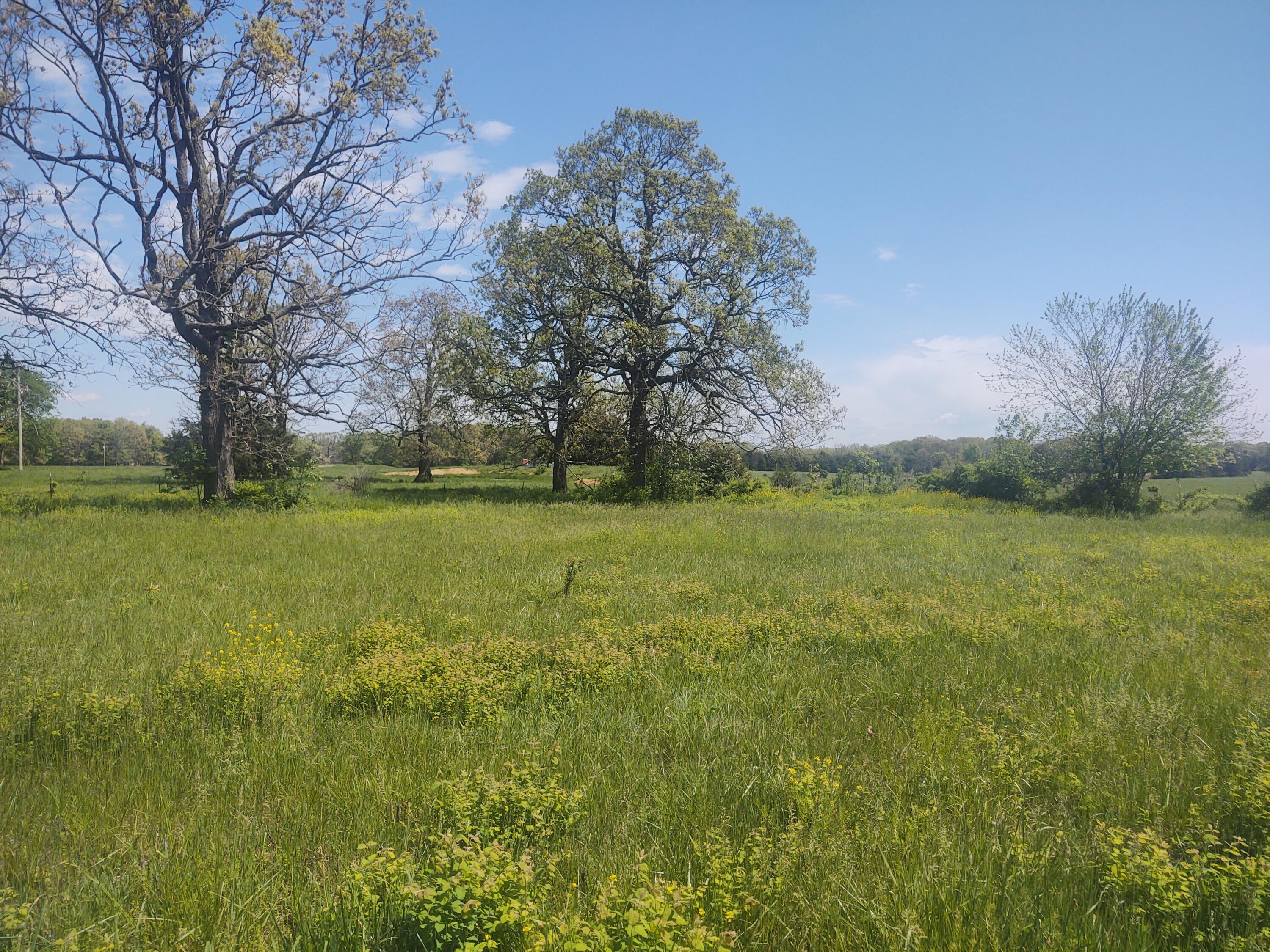 000 Lot 4 Property Photo